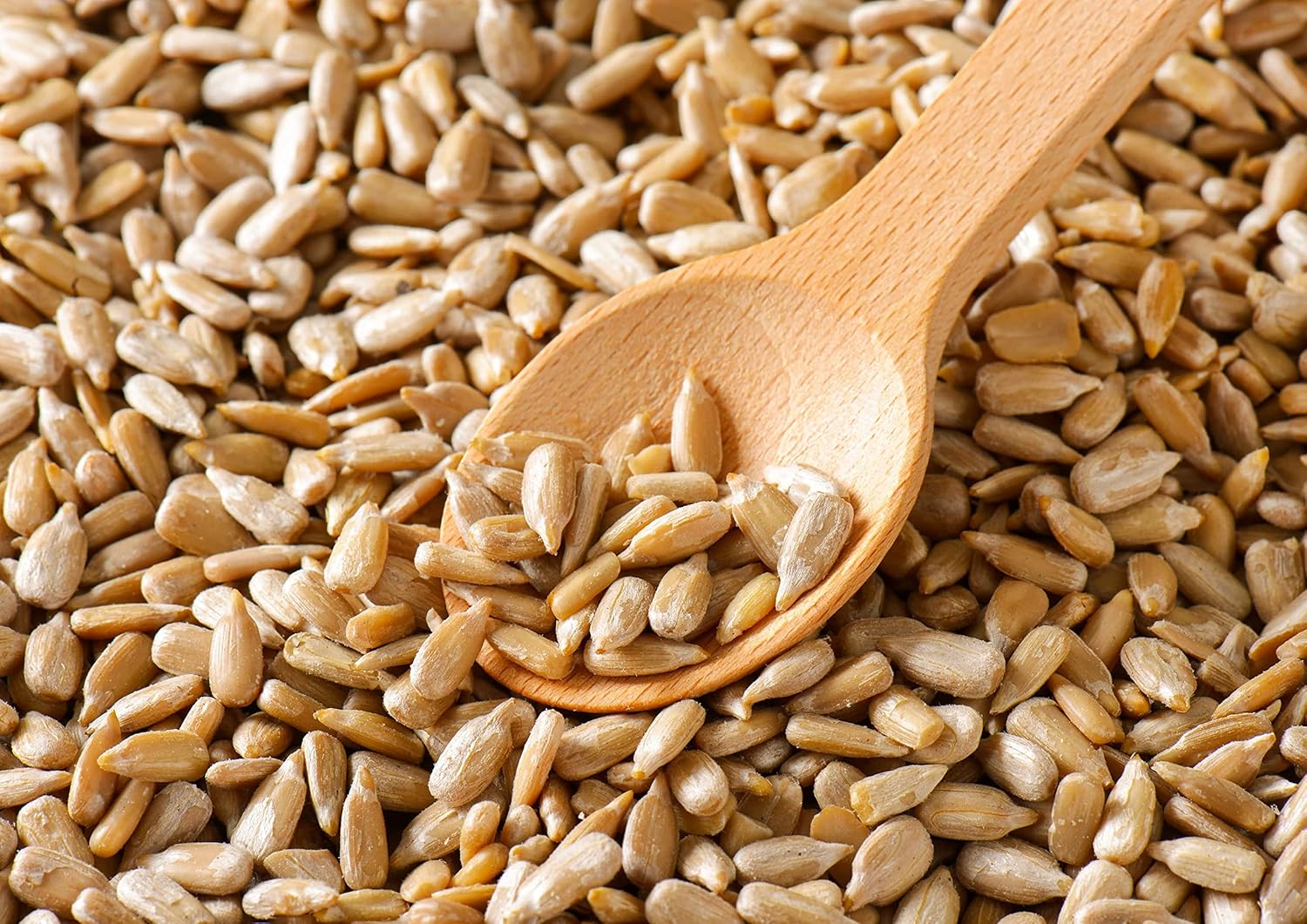 Granos de semillas de girasol tostados en seco, 1 libra, sin sal, asados al horno, sin aceite añadido, sin cáscara, vegano, kosher, keto, a granel.