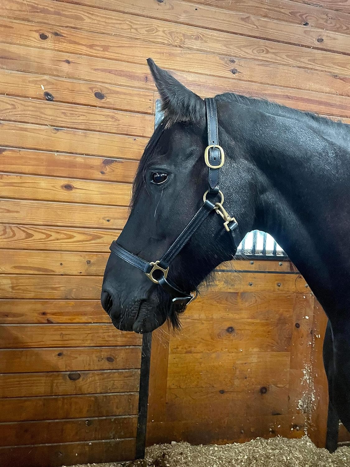 Leaders – Cabestro de cuero para caballos con placa de nombre grabada personalizada, cabestro para caballo, negrolatón