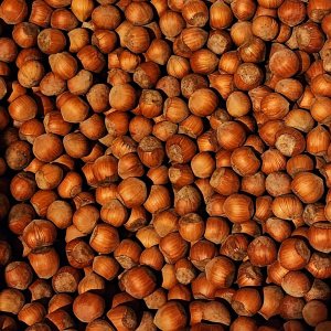 Avellanas en cáscara, cultivadas en el huerto de nuestra familia en el estado de Washington (crudo, 8 libras) Avellanas en cáscara, cultivadas en el huerto de nuestra familia en el estado de Washington (crudo, 8 libras)