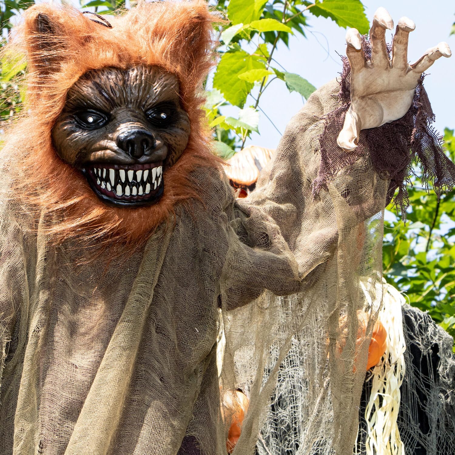 Haunted Hill Farm Hombre lobo animatrónico de tamaño real con luces activadas al tacto y sonido, posable, funciona con pilas para interiores o
