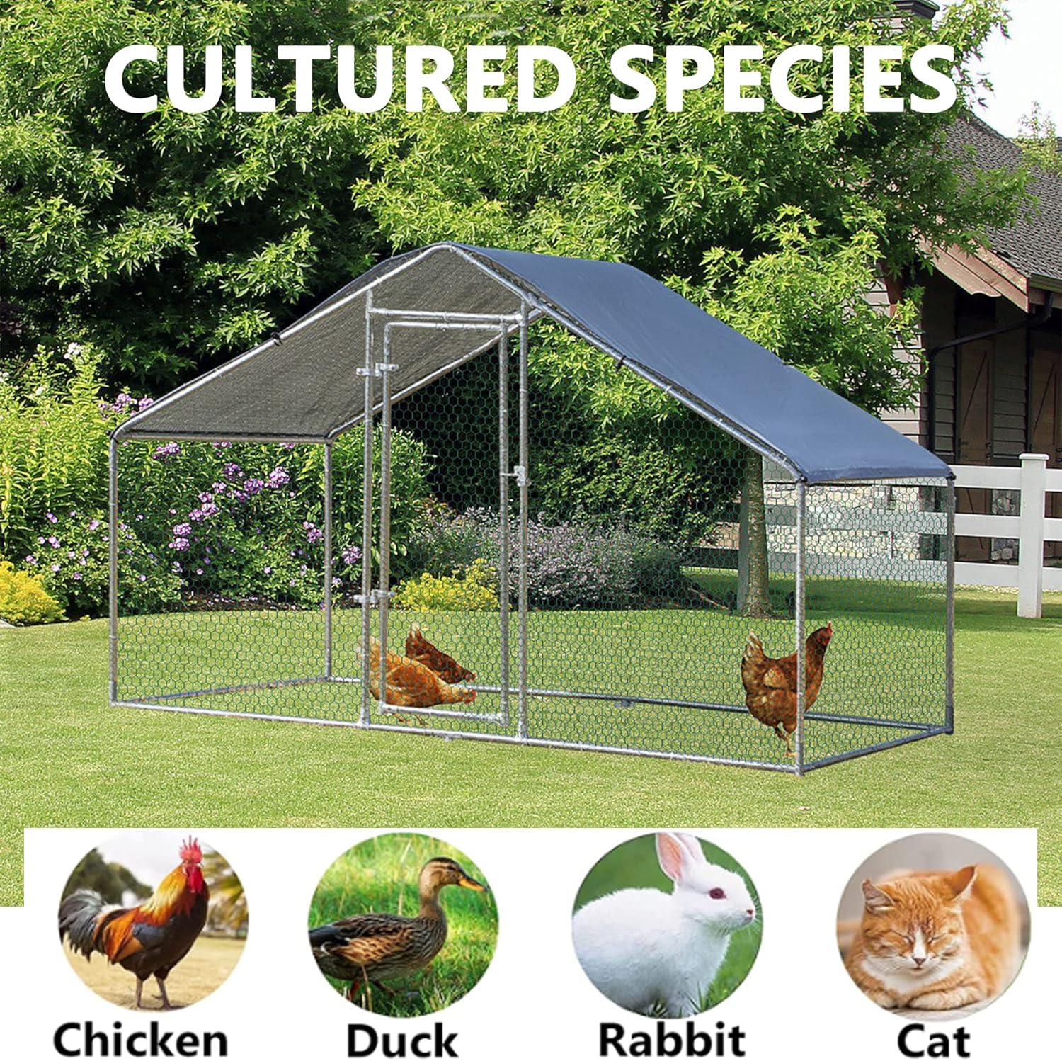HITTITE Chicken Coop Run – Gallinero grande de metal, jaula de gallinero para caminar al aire libre, resistente en forma de espiro, con cubierta