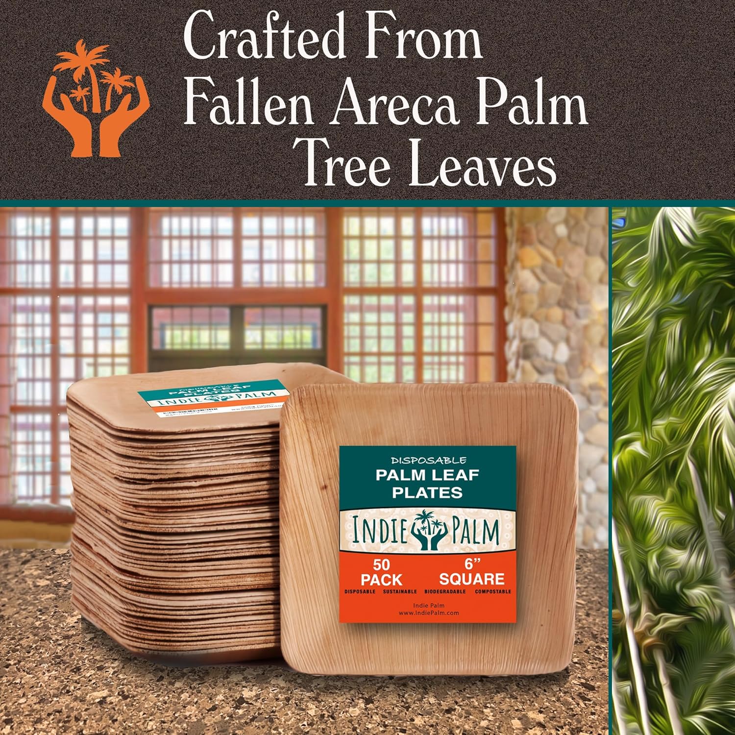 Indie Palm Platos desechables de hoja de palma, cuadrados de 6 pulgadas paquete de 50 100% compostables, alternativa ecológica al papel o al bambú,