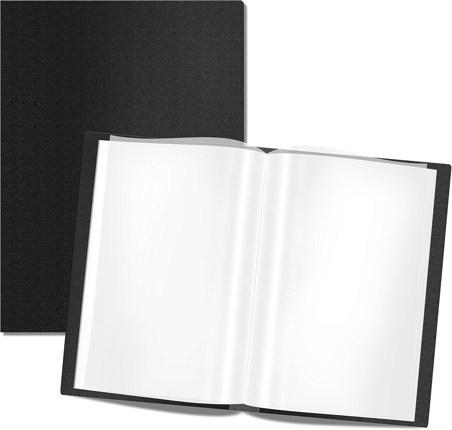Carpeta de 40 fundas transparentes
