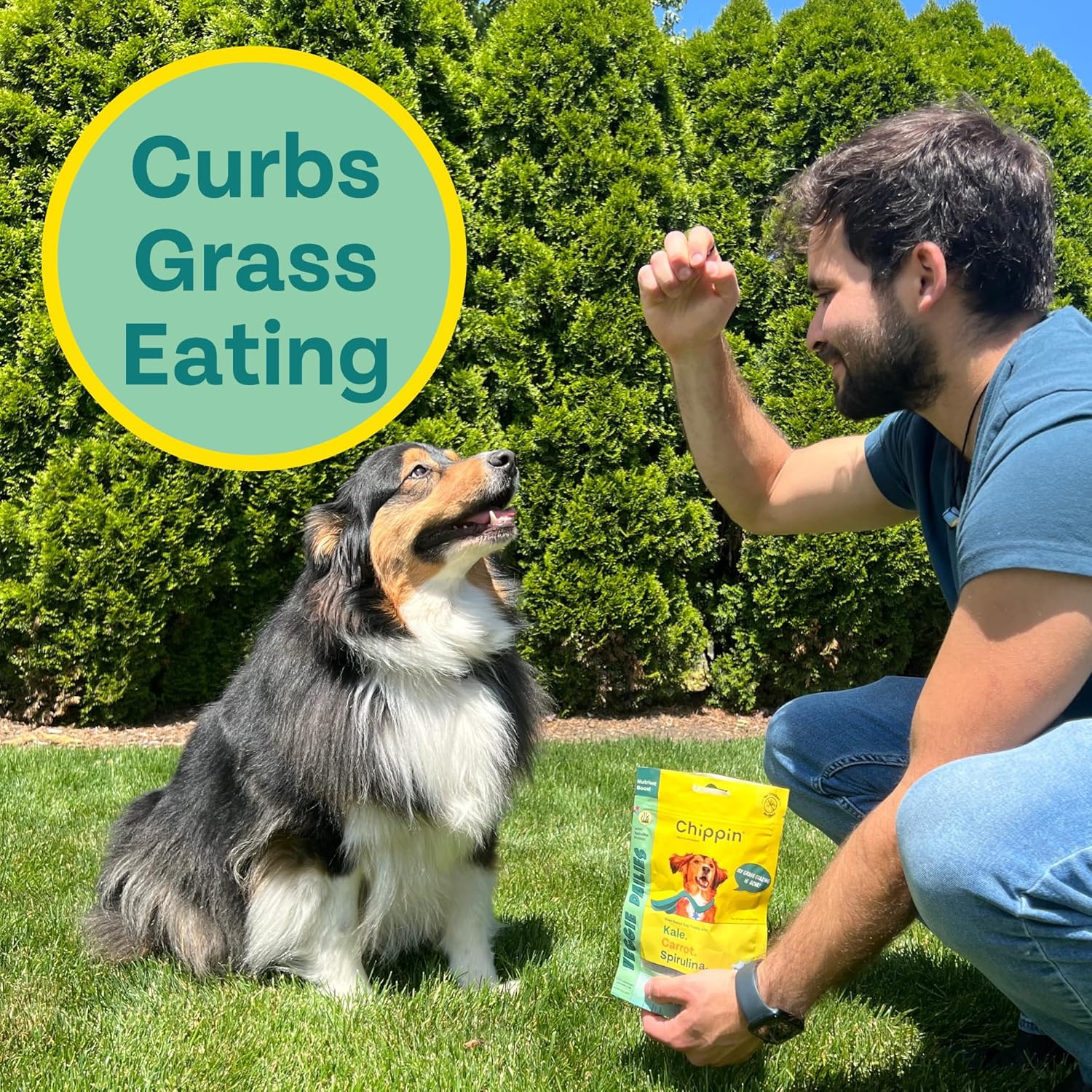 Suplemento saludable de espirulina a base de plantas y golosinas para perros (5 onzas, 2 unidades)  Deja de comer hierba  Proteína vegana