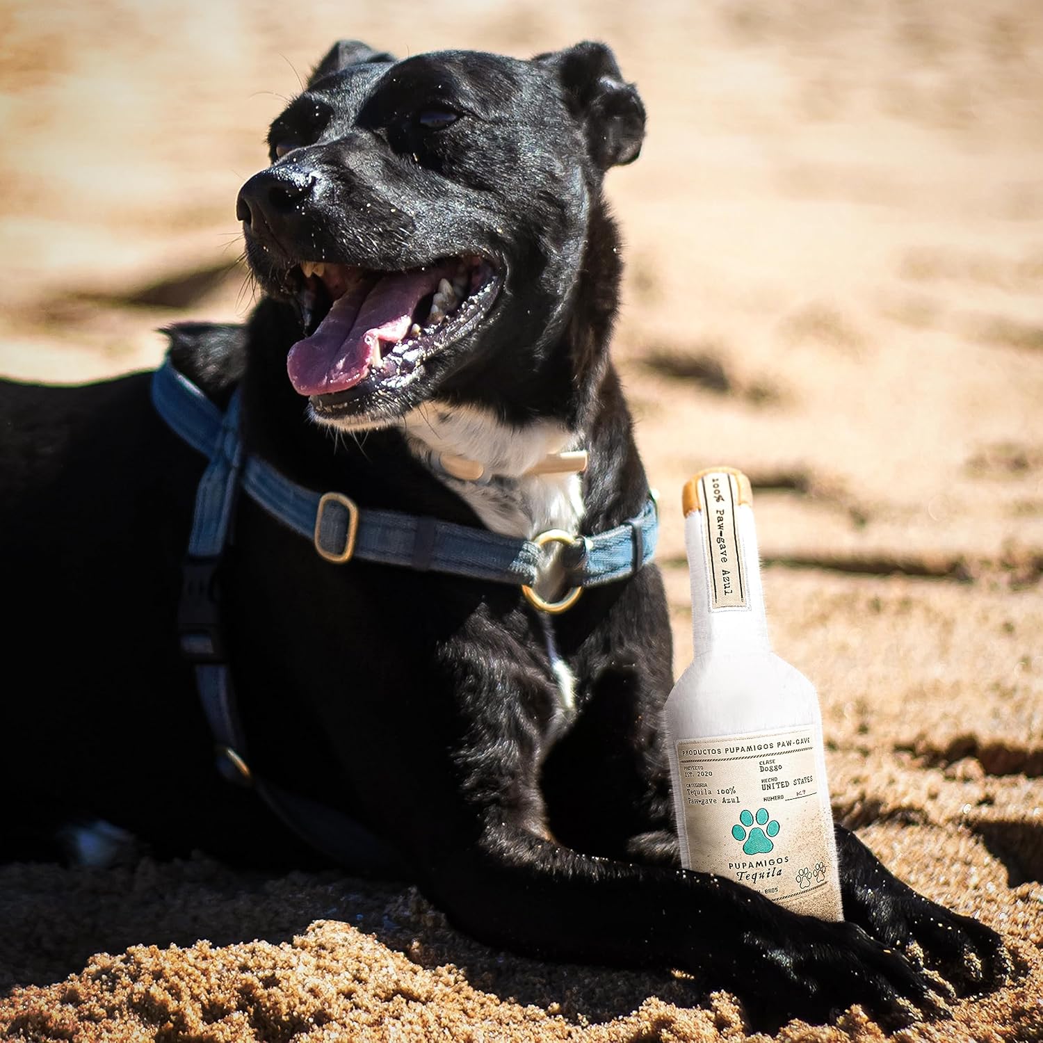 Juguete para perros con botella de licor – Juguetes chirriantes de felpa para perros divertidos parodia de bebida – Juguete de cumpleaños para