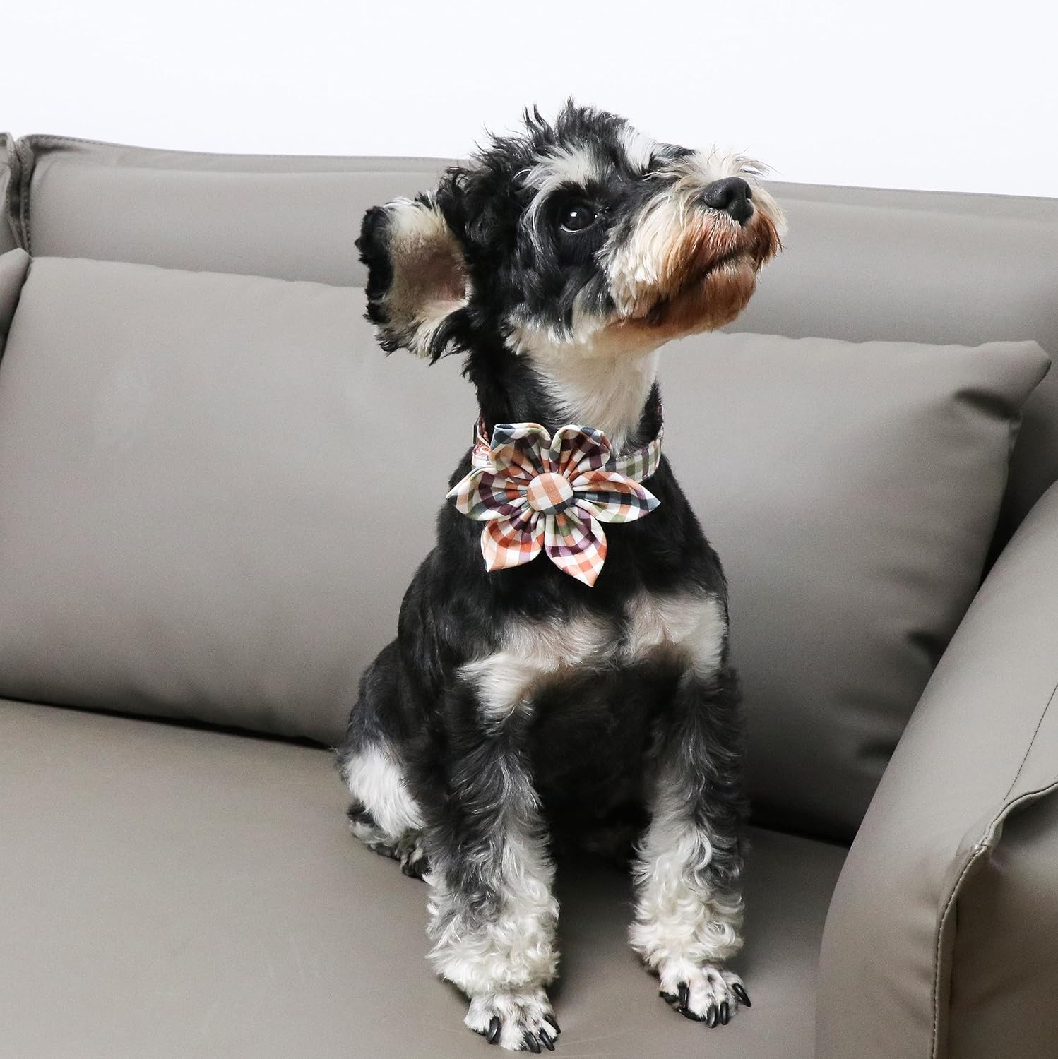 Unique Style Paws Collar de perro de algodón con lazo floral a cuadros coloridos collar de perro con pajarita para perros pequeños, medianos y