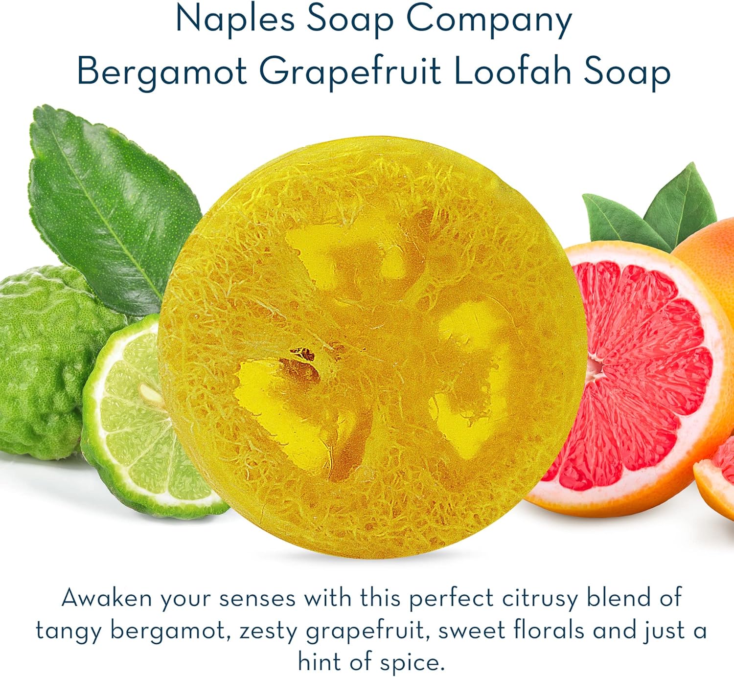 Naples Soap Company – Juego de 4 barras de esponja natural con infusión de jabón para limpiar, exfoliar e hidratar la piel, sin ingredientes