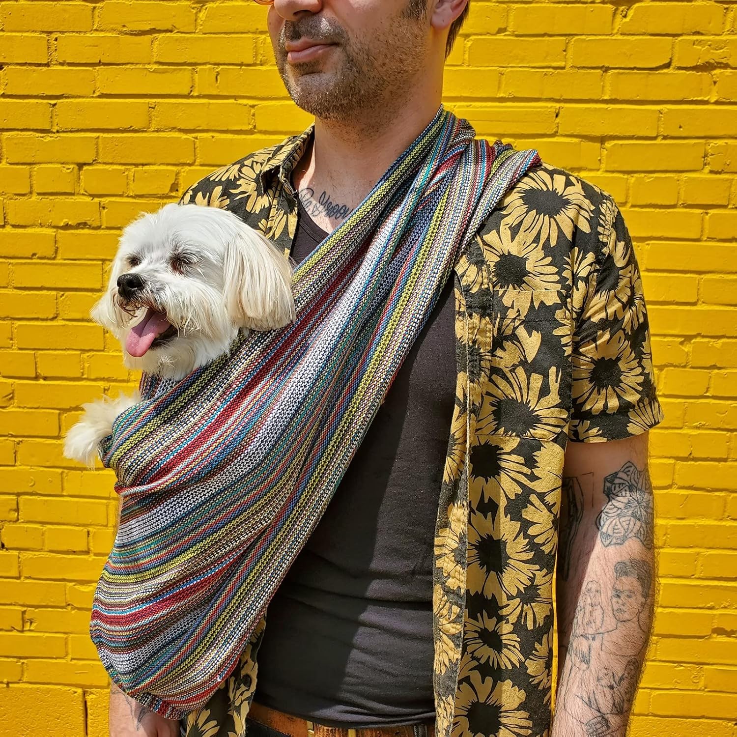 Transportador para perros 100% algodón orgánico también para gatos (bohemio multicolor)