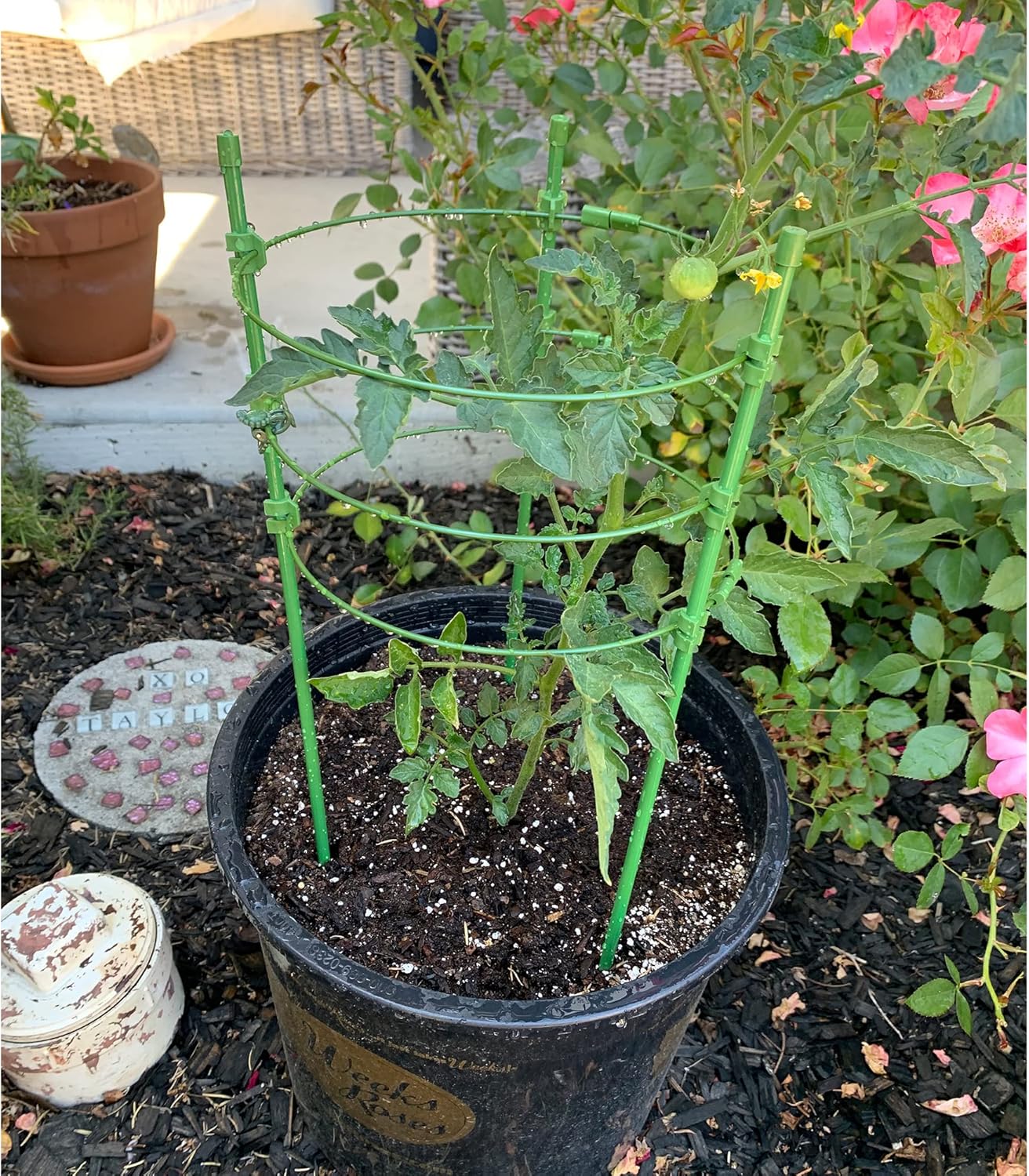 Jaula de tomate para jardín, paquete de 4 jaulas de jardín de enrejado de tomate de 18 pulgadas con 3 anillos ajustables, estacas para plantas