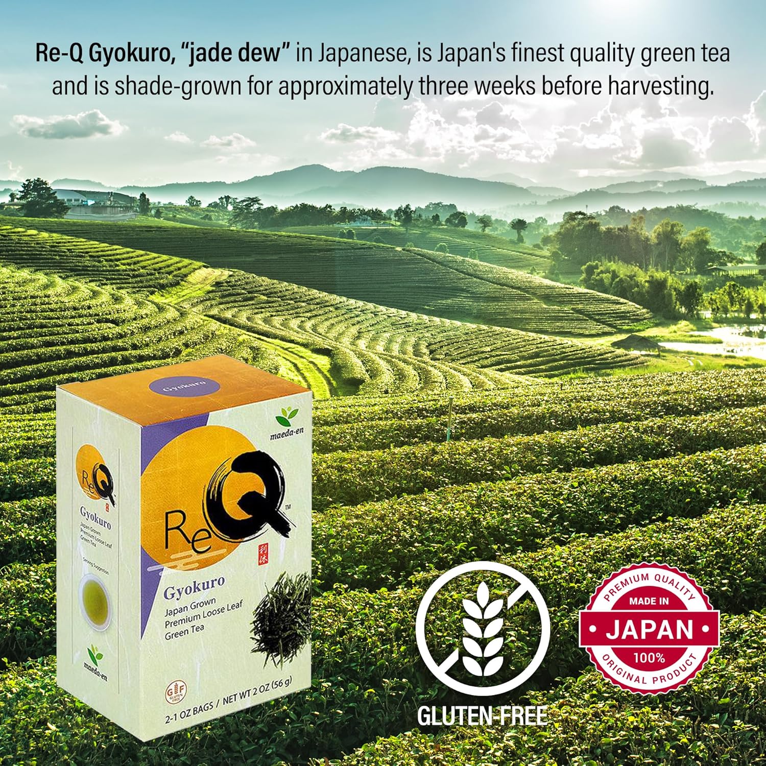 MAEDA-EN Re-Q Gyokuro – Té verde de hojas sueltas, 5.93 oz de origen japonés, bebida caliente o helada con aroma agradable, paquete de 3