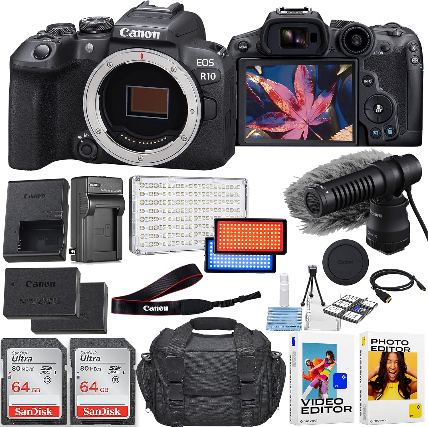 Canon Cámara sin espejo EOS R10 (solo cuerpo) + micrófono direccional Canon DM-E100 + 2 tarjetas de memoria de 64 GB + luz de video LED + funda y