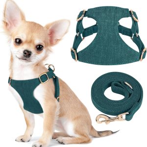 Didog Juego de arnés y correa para perro pequeño, suave y lindo arnés para perros pequeños, arnés ajustable para perros pequeños, arnés para perros Didog Juego de arnés y correa para perro pequeño, suave y lindo arnés para perros pequeños, arnés ajustable para perros pequeños, arnés para perros