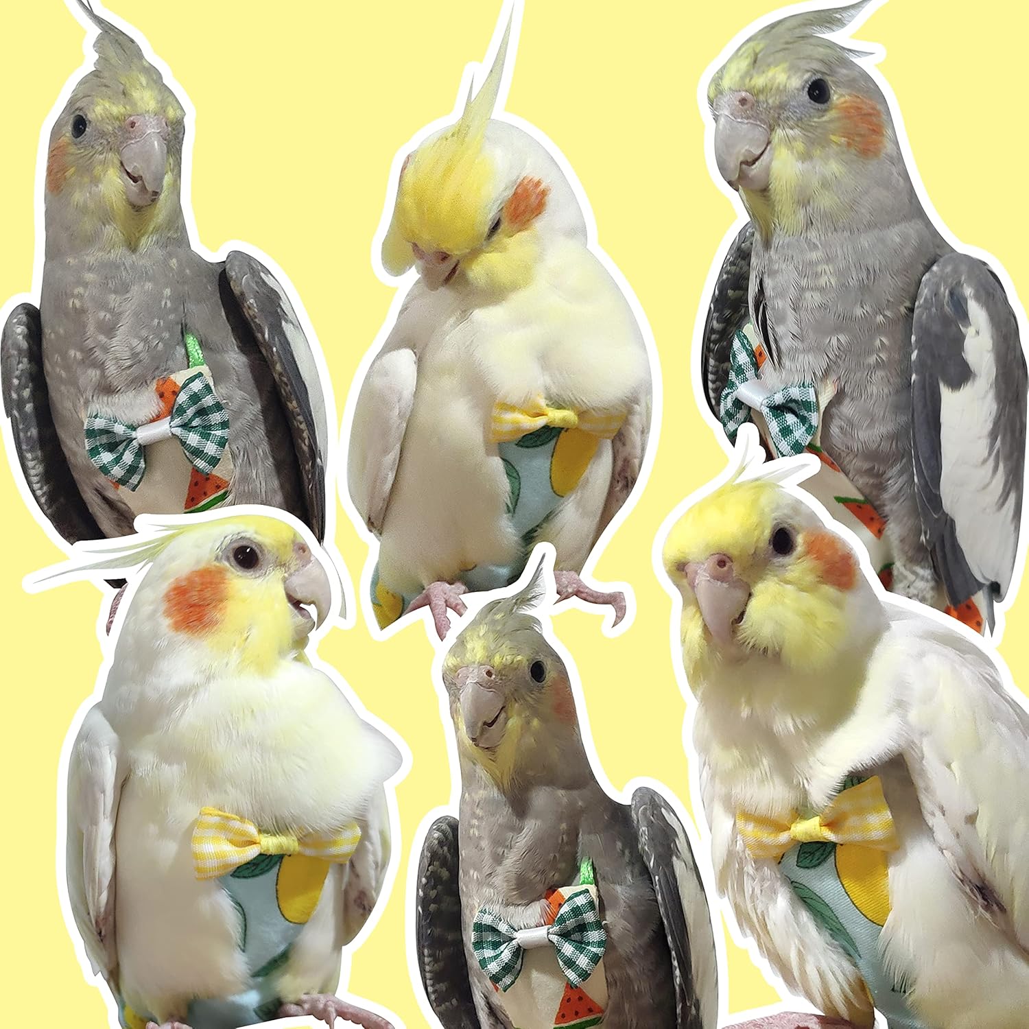 VANFAVORI Arnés de pañales para pájaros, ropa de traje de vuelo con cuerda de correa voladora de 80 pulgadas para loros, conure, cacatúas, aves,