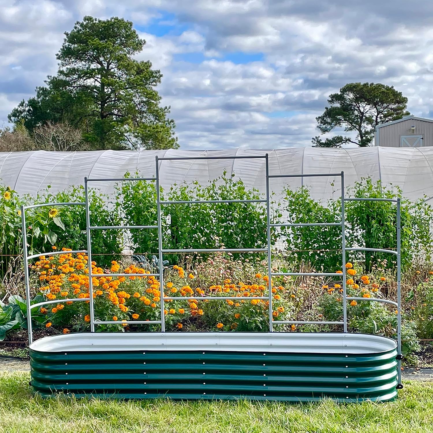 Vego garden Sistema modular de enrejado de pared, sección triple de 4.0 pies de largo para camas de jardín de 2.0 x 4.0 pies