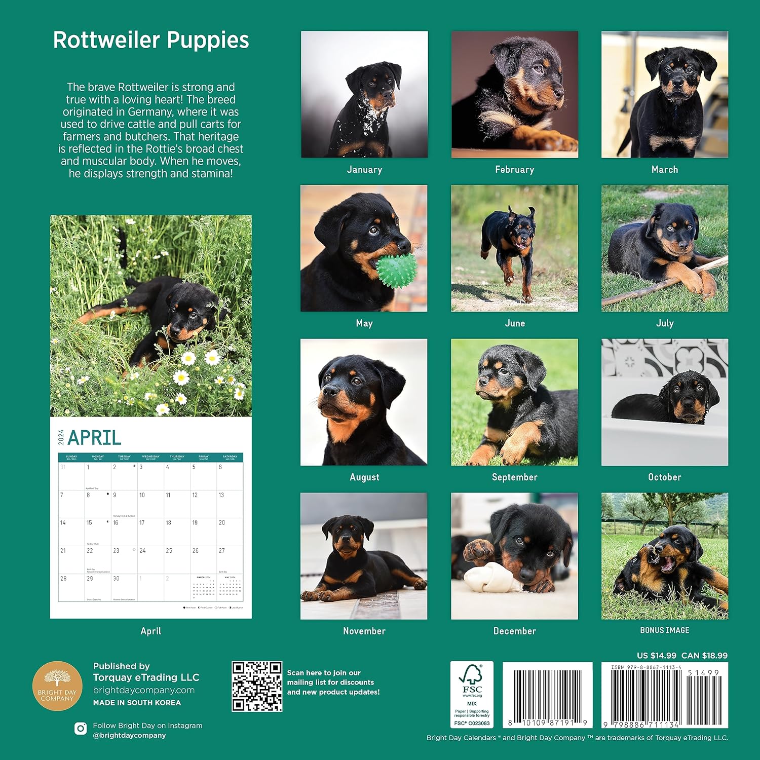 Bright Day – Calendario mensual de pared de cachorros Rottweiler 2024, 12 x 12 pulgadas
