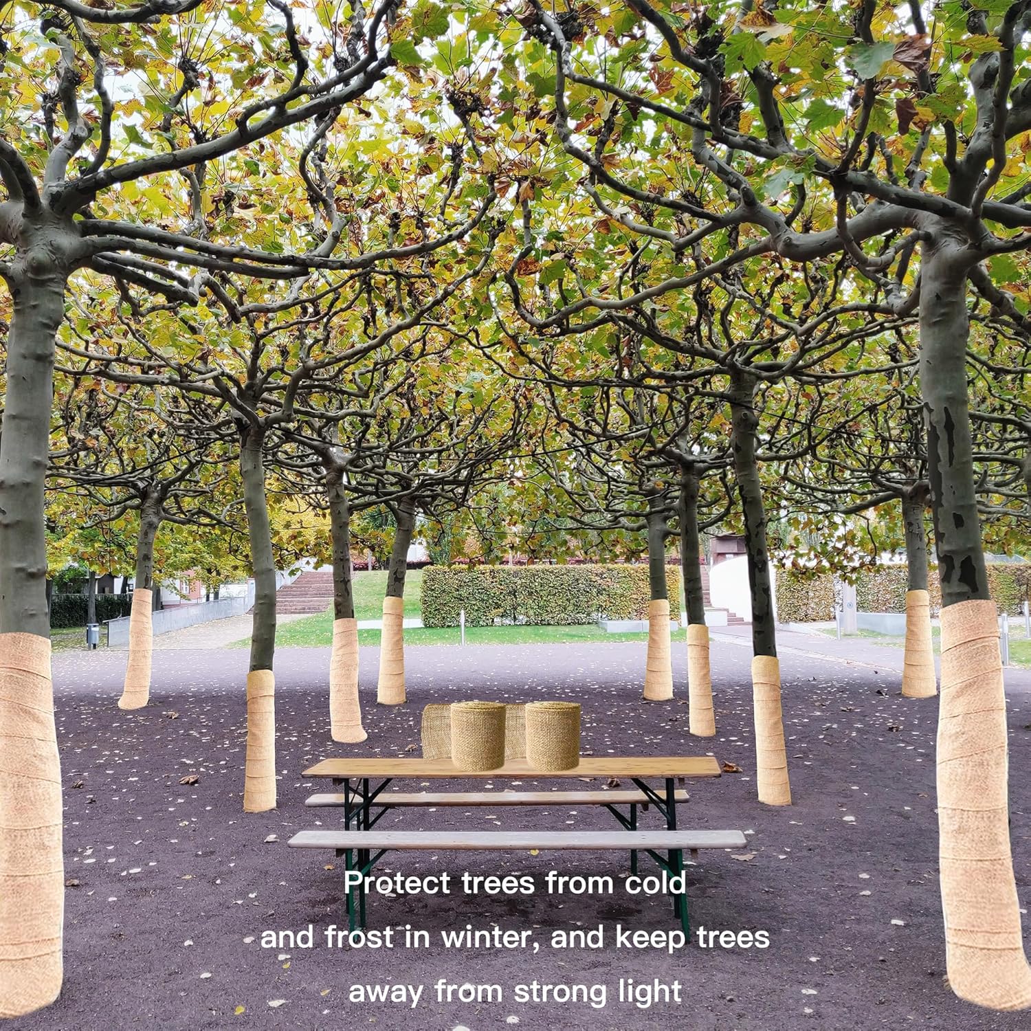 Zplontya 2 rollos de arpillera natural de 7.8 pulgadas con cuerda, 33 pies, envolturas protectoras de árbol de arpillera, envoltura para tronco de