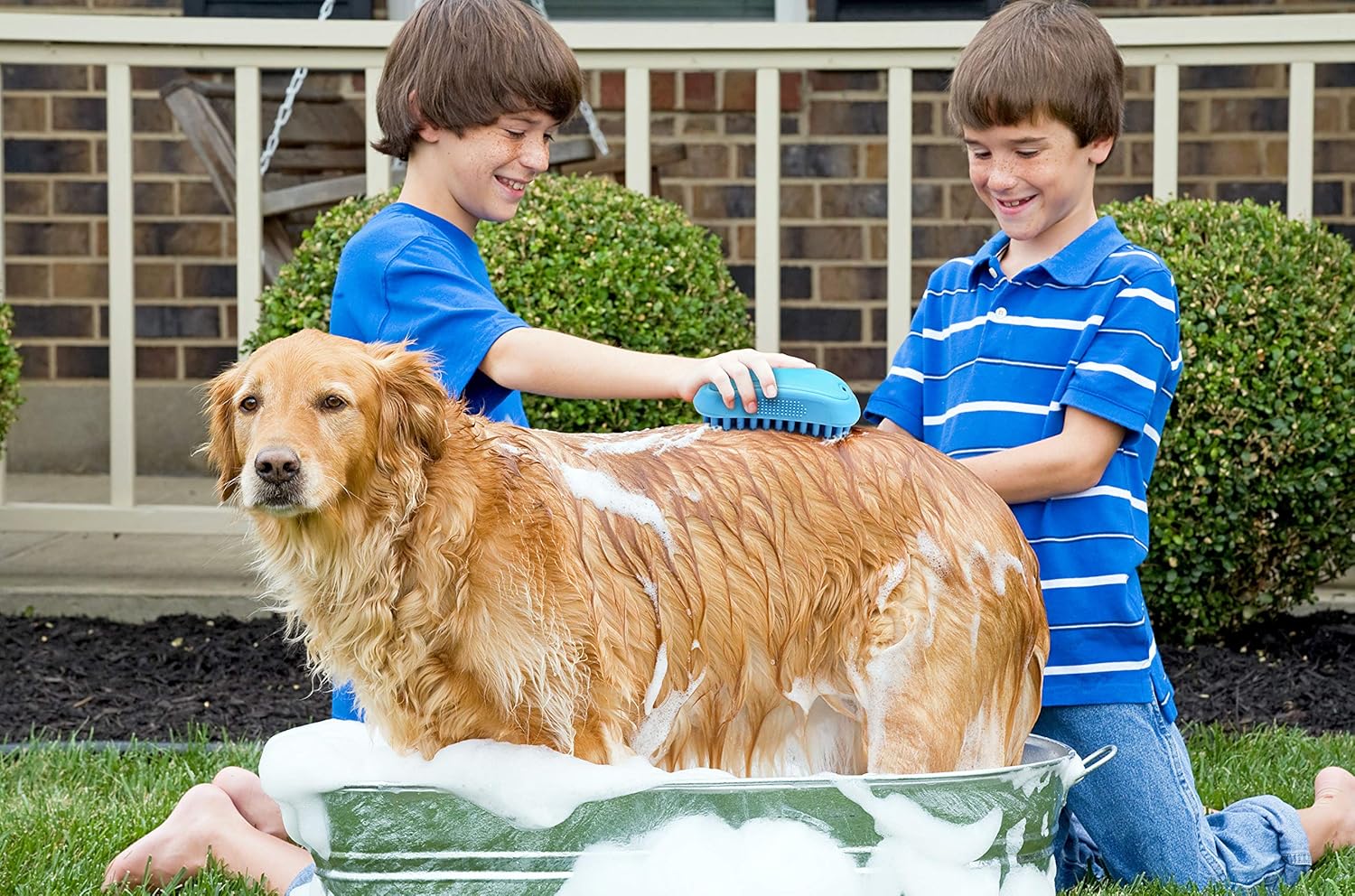 Cepillo de masaje para perros de baño para mascotas, gran peine de aseo para masajear y lavar con champú, perros, gatos, animales pequeños con pelo