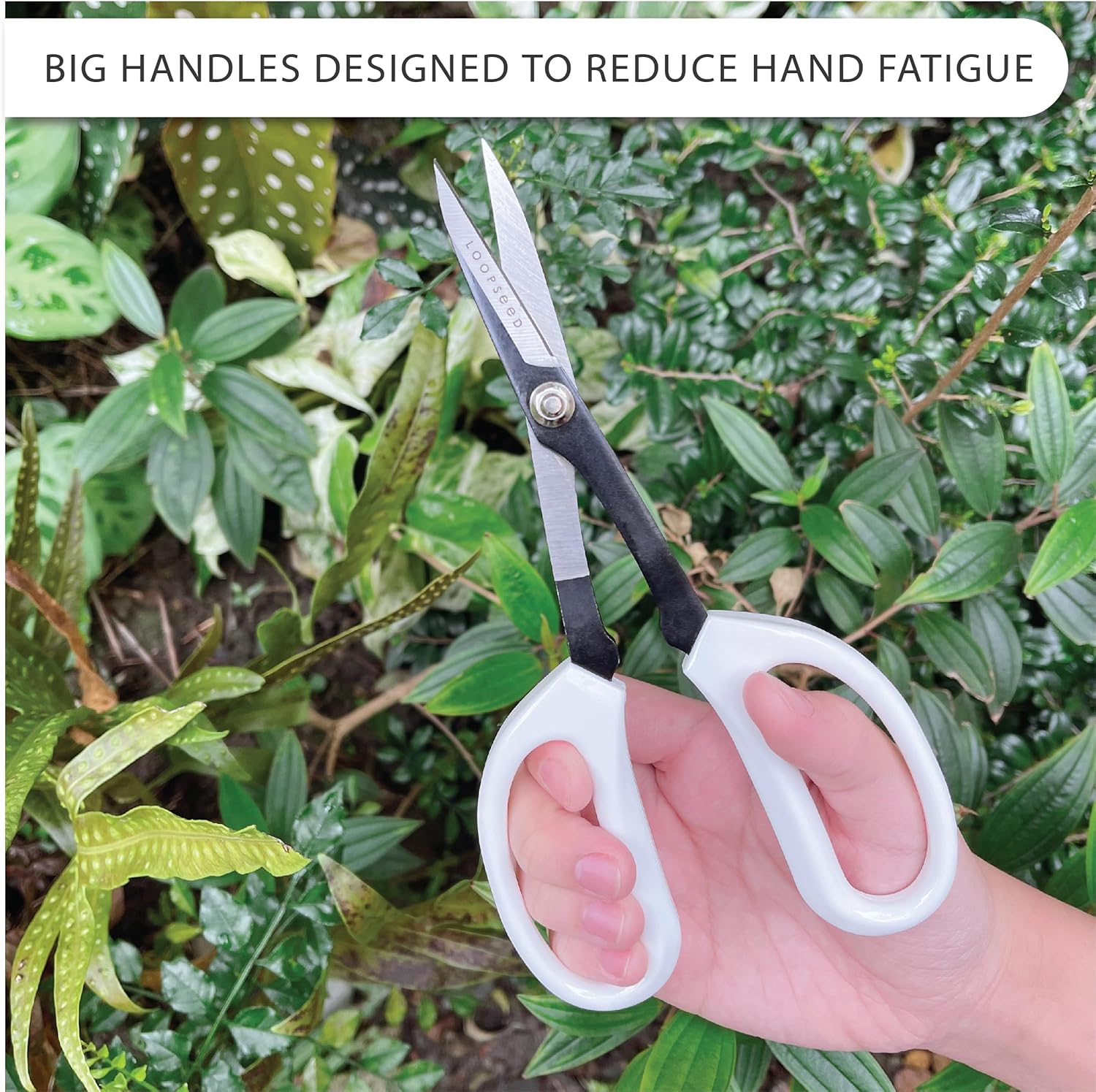 Tijeras de jardinería de precisión Tijeras de podar para orquídeas, bonsái, hidropónico, cortadora de flores, herramienta de jardín moderna