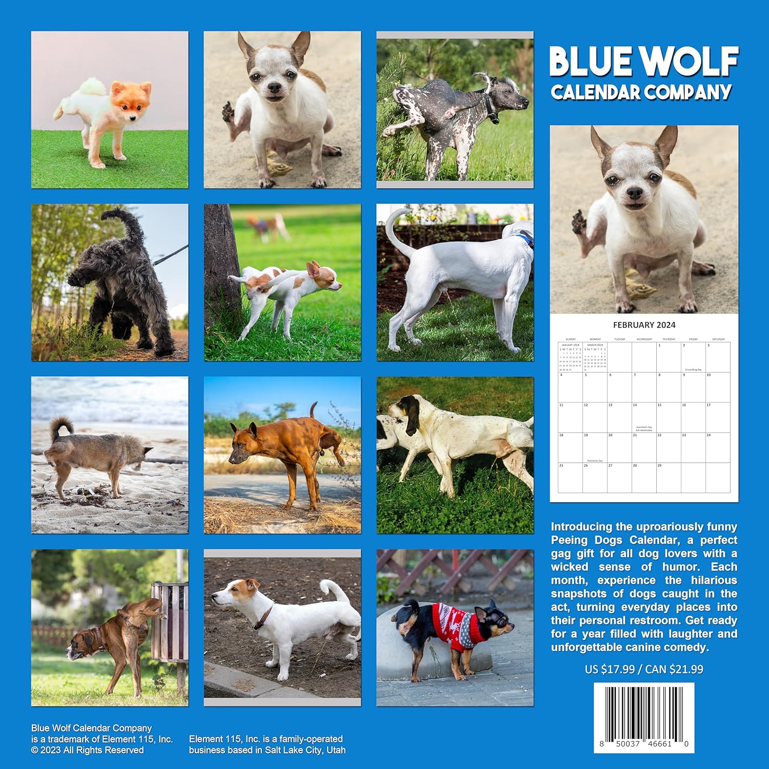 Calendario mensual de pared 2024 Funny Dogs Marking Territory  12 x 24 pulgadas  Calendario de perro de regalo de broma 2024