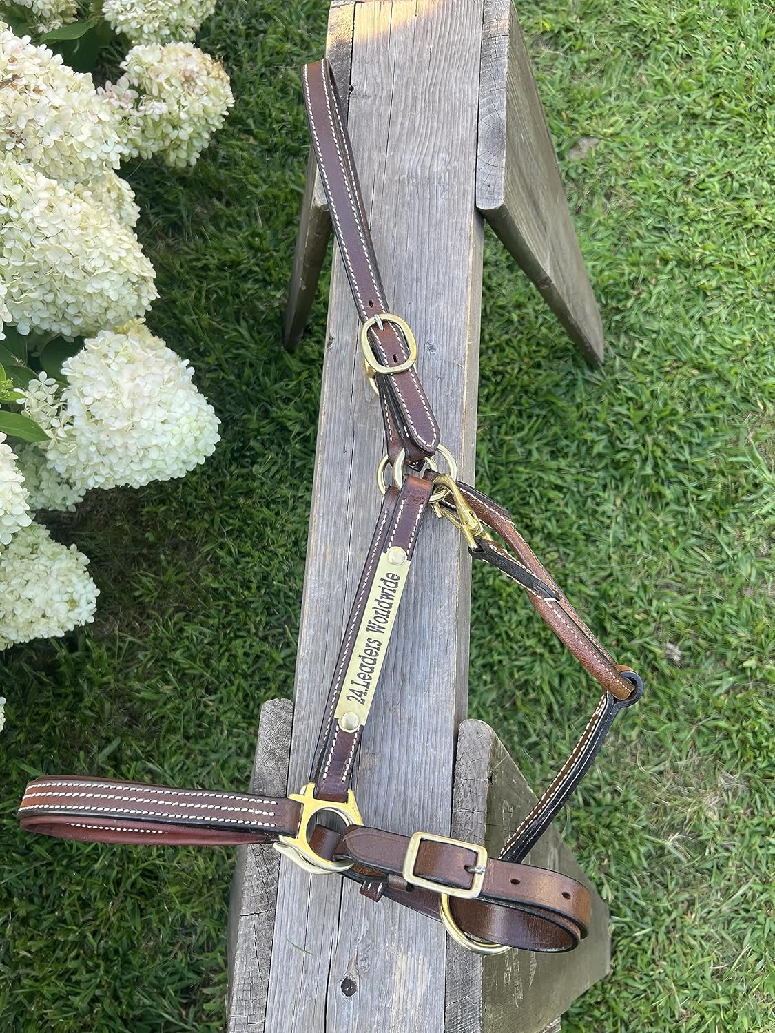 Leaders – Cabestro de cuero acolchado de 34 pulgadas para caballos con placa de nombre grabada personalizada, cuero marrón con herrajes de latón