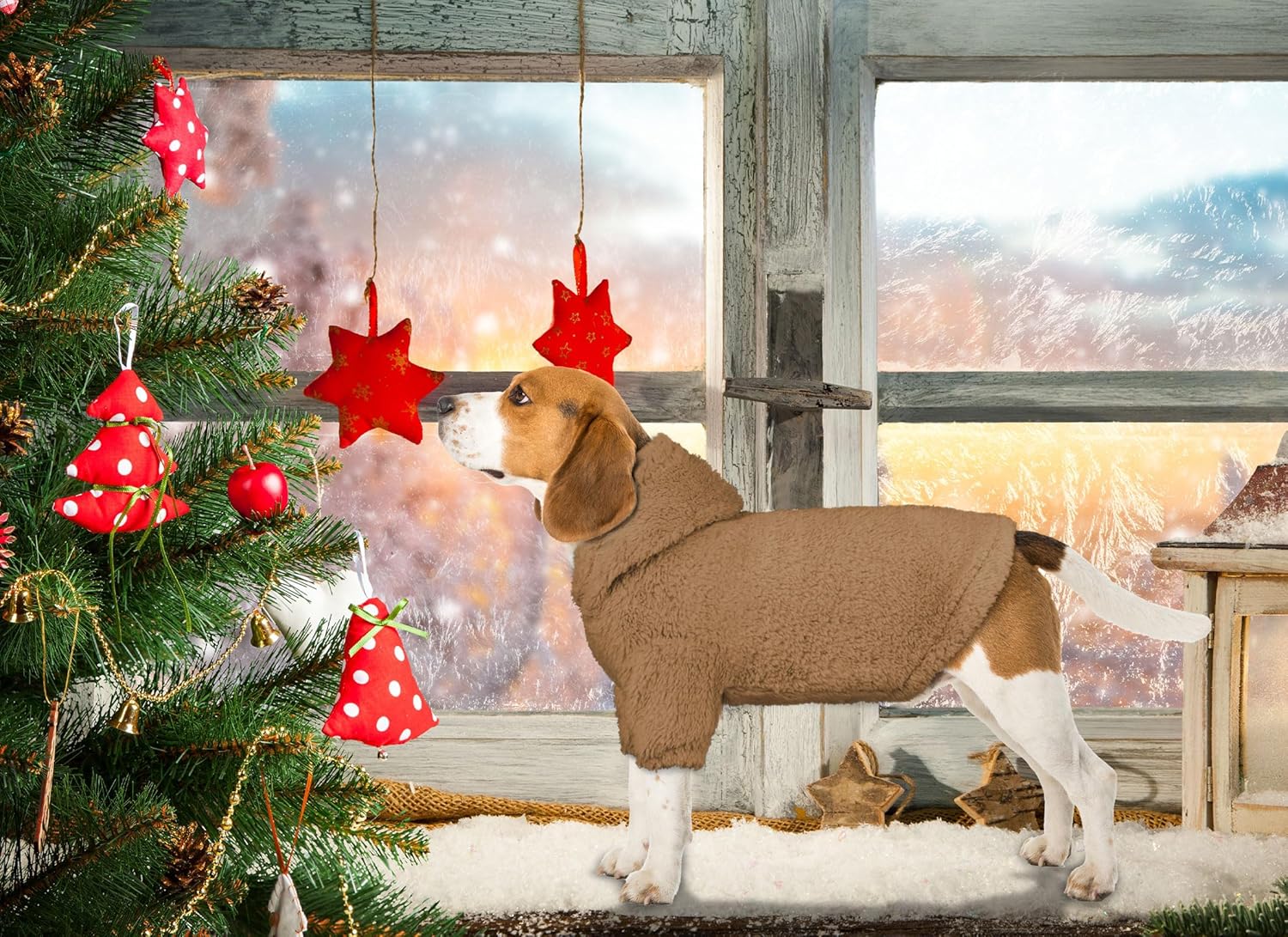 Suéteres mullidos para perros pequeños, ropa para perro, ropa para perro, abrigos, suaves, acogedores, sudadera con capucha de forro polar para