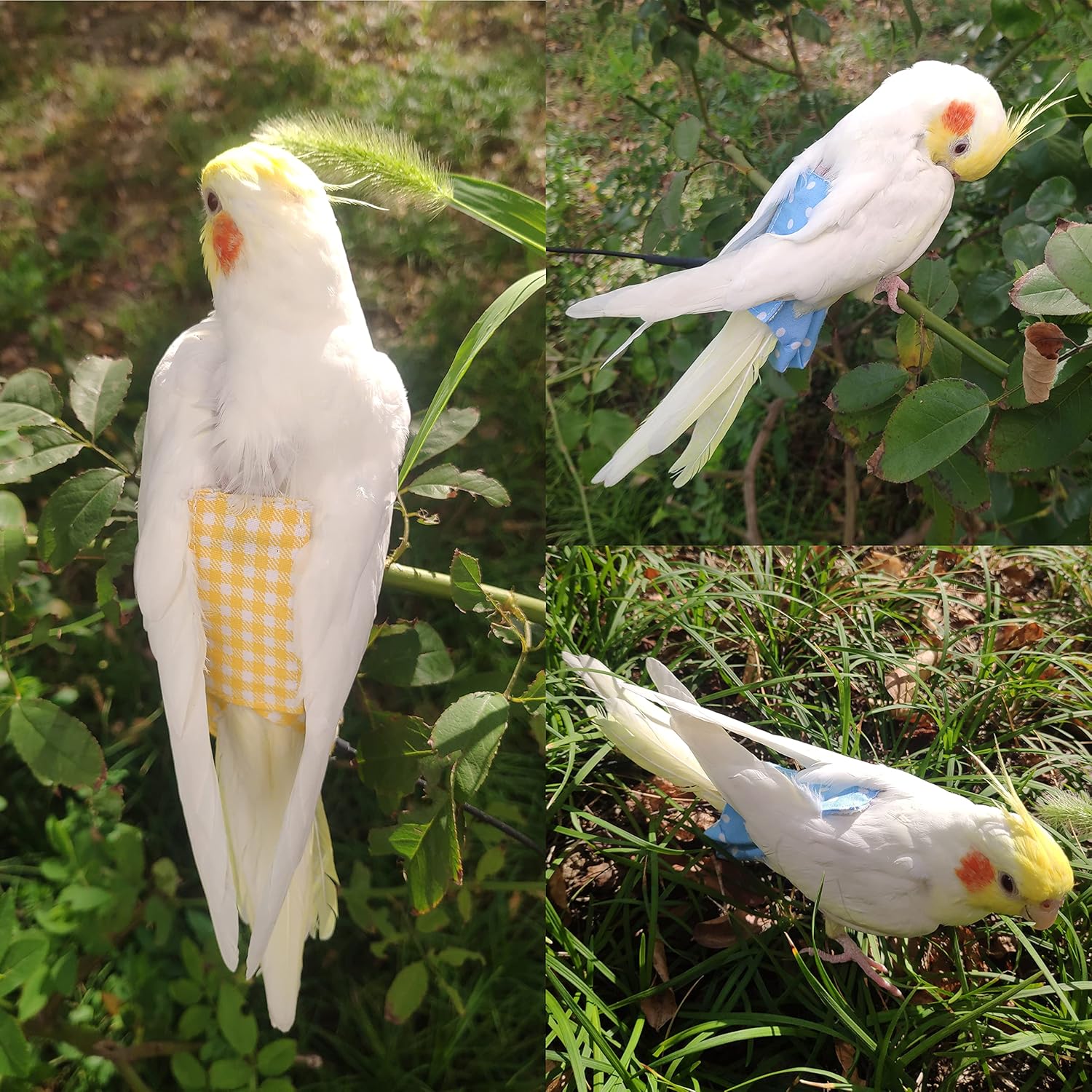 VANFAVORI Arnés de pañales para pájaros, ropa de traje de vuelo con cuerda de correa voladora de 80 pulgadas para loros, conure, cacatúas, aves,