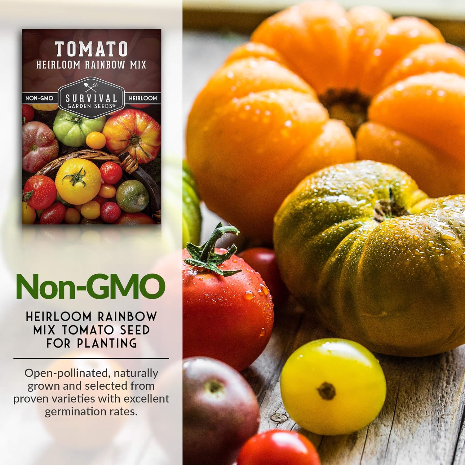 Survival Garden Seeds – Semillas de tomate Heirloom Rainbow Mix para plantar – Paquete con instrucciones para plantar y cultivar en tu huerto casero