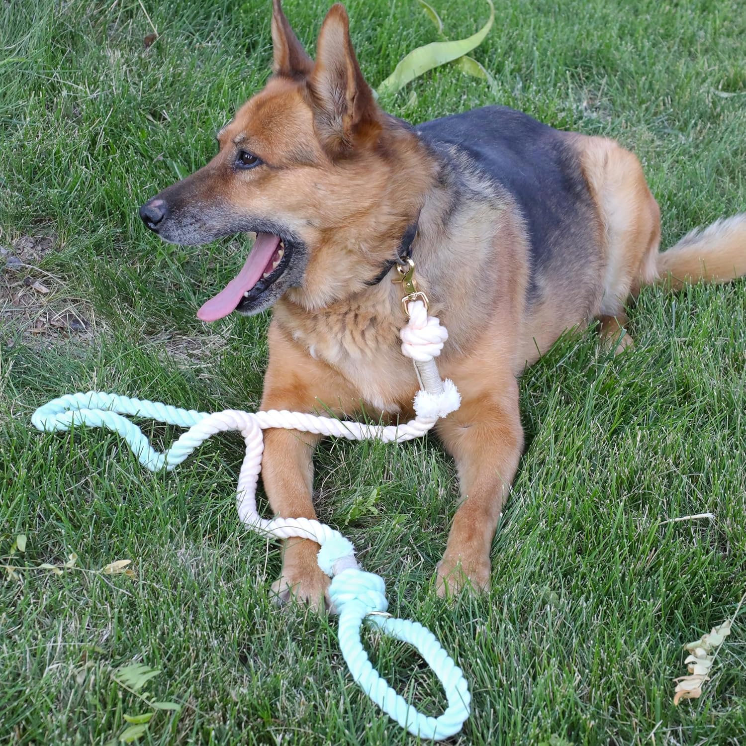 Correa de cuerda para perro de alta calidad, correa de cuerda de algodón trenzada suave y duradera para perros medianosperros grandes, correa ligera