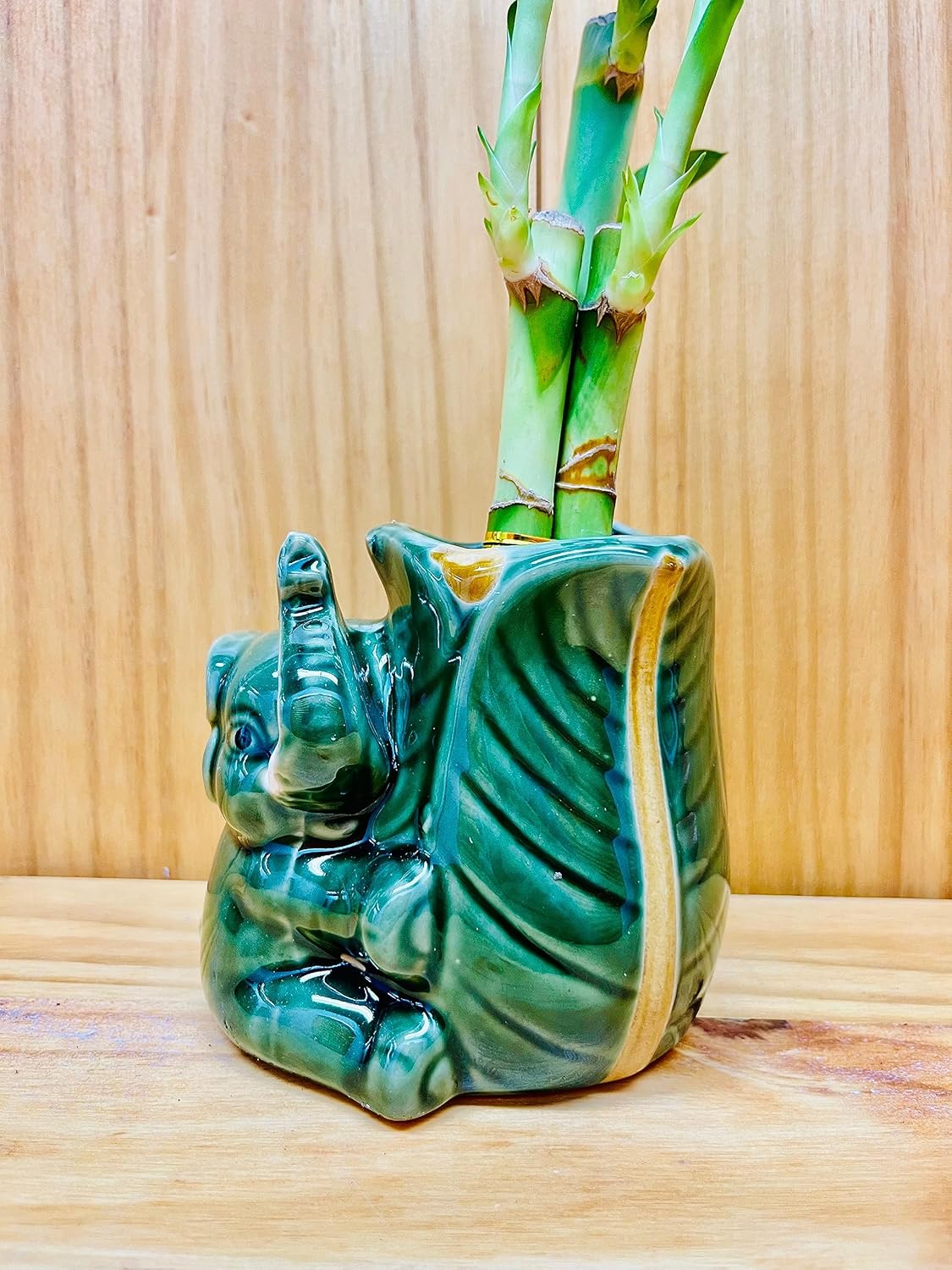 Lucky Bamboo en jarrón de elefante de cerámica, 3 tallos de 6 pulgadas, 6 pulgadas y 8 pulgadas, incluye rocas de guijarros de río