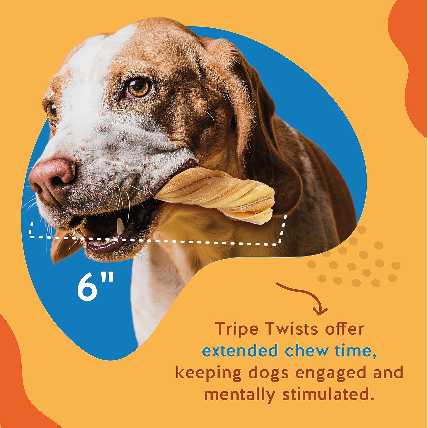 Jack&Pup – Tripe Twist de 6 pulgadas para perros, masticables sin cuero crudo  Golosinas para perros bajas en calorías de un solo ingrediente