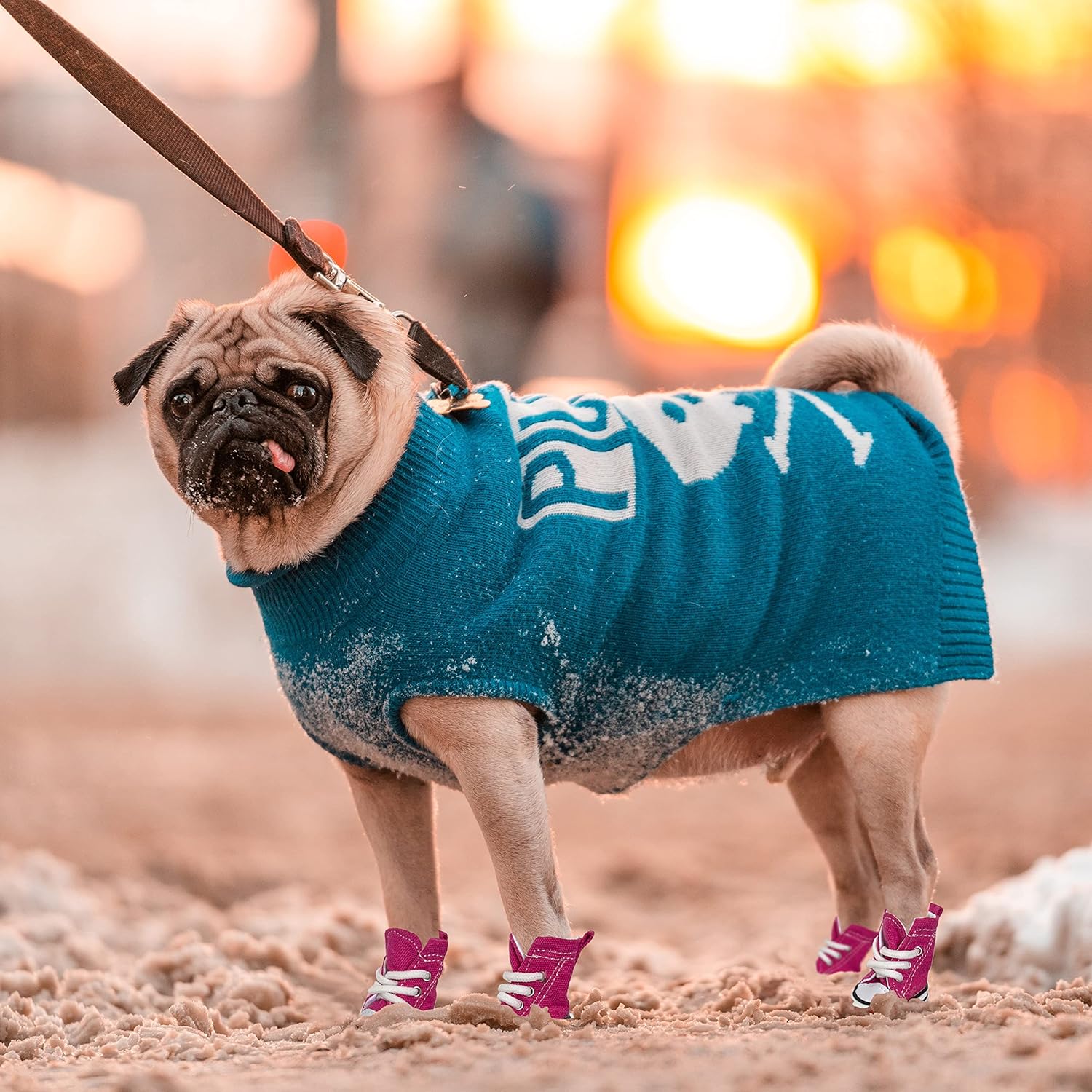 HPWFHPLF Botas para perro, zapatos deportivos para perros pequeños, medianos y grandes, protectores de patas antideslizantes para pavimento caliente
