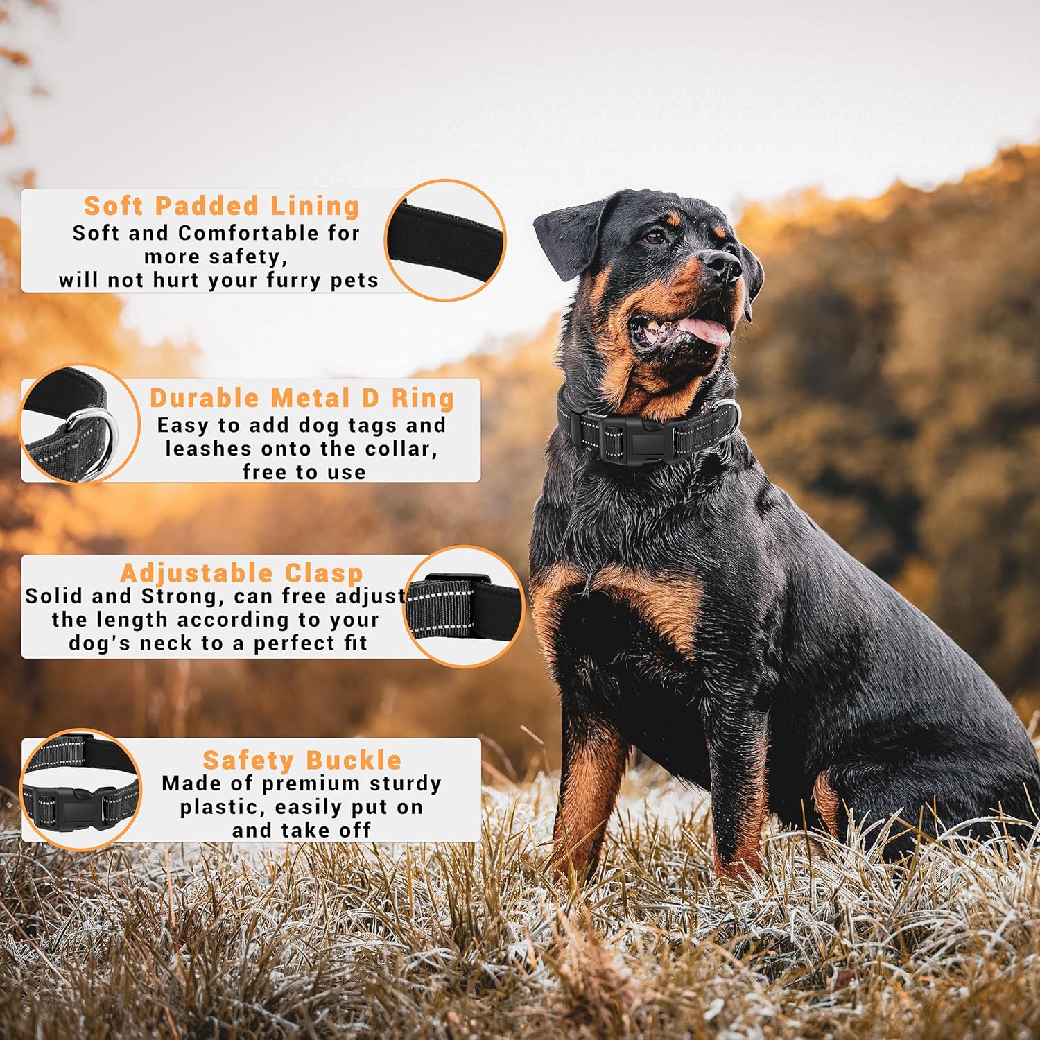LIEVUIKEN Paquete de 2 collares reflectantes para perro con hebilla de bloqueo de seguridad, ajustable, suave, transpirable, cómodo, de nailon, para