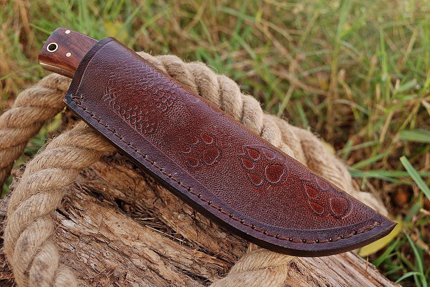 TMBrands Cuchillo de acero de alto carbono, cuchillo de bushcraft de espiga completa, cuchillo de caza, cuchillo de supervivencia, cuchillo de hoja