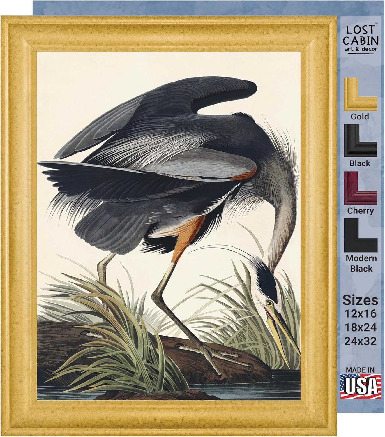 Lost Cabin Great Blue Heron de James Audubon  Lienzo en marco biselado dorado  Reproducción de pinturas de obras de arte finas  Póster decorativo
