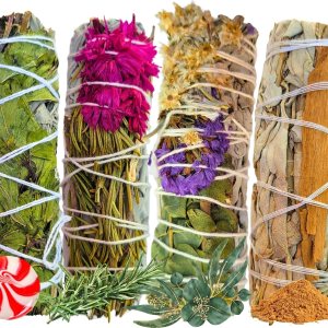 Paquete variado de salvia de temporada, edición limitada, juego de muestras de manchas de salvia blanca, canela, menta, eucalipto floral, juego de Paquete variado de salvia de temporada, edición limitada, juego de muestras de manchas de salvia blanca, canela, menta, eucalipto floral, juego de