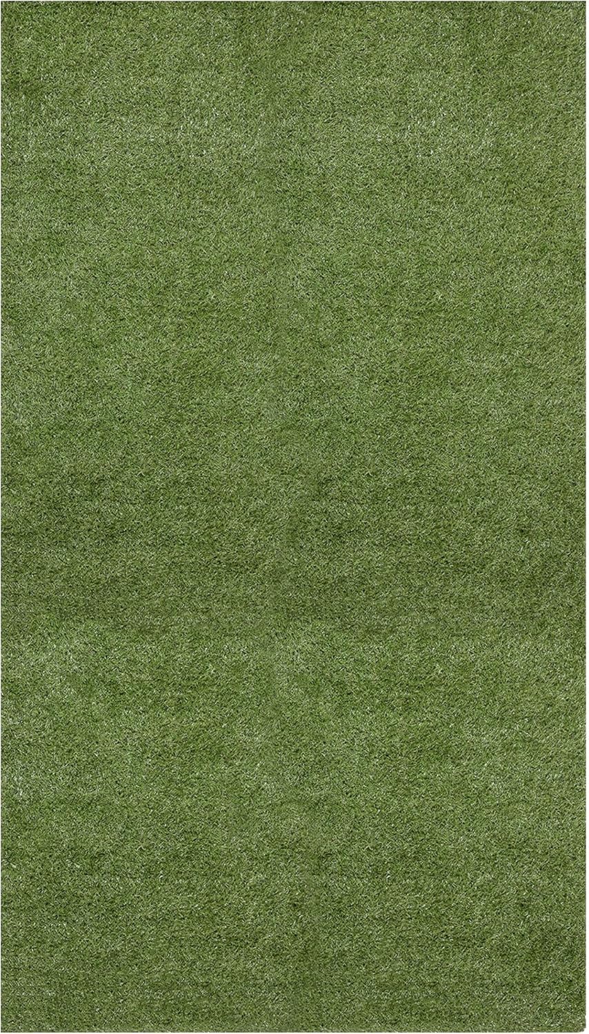 Ottomanson Colección R550-7X4 Evergreen, alfombra de área de 4 x 6 pies 6 pulgadas, pelo alto, color verde hierba