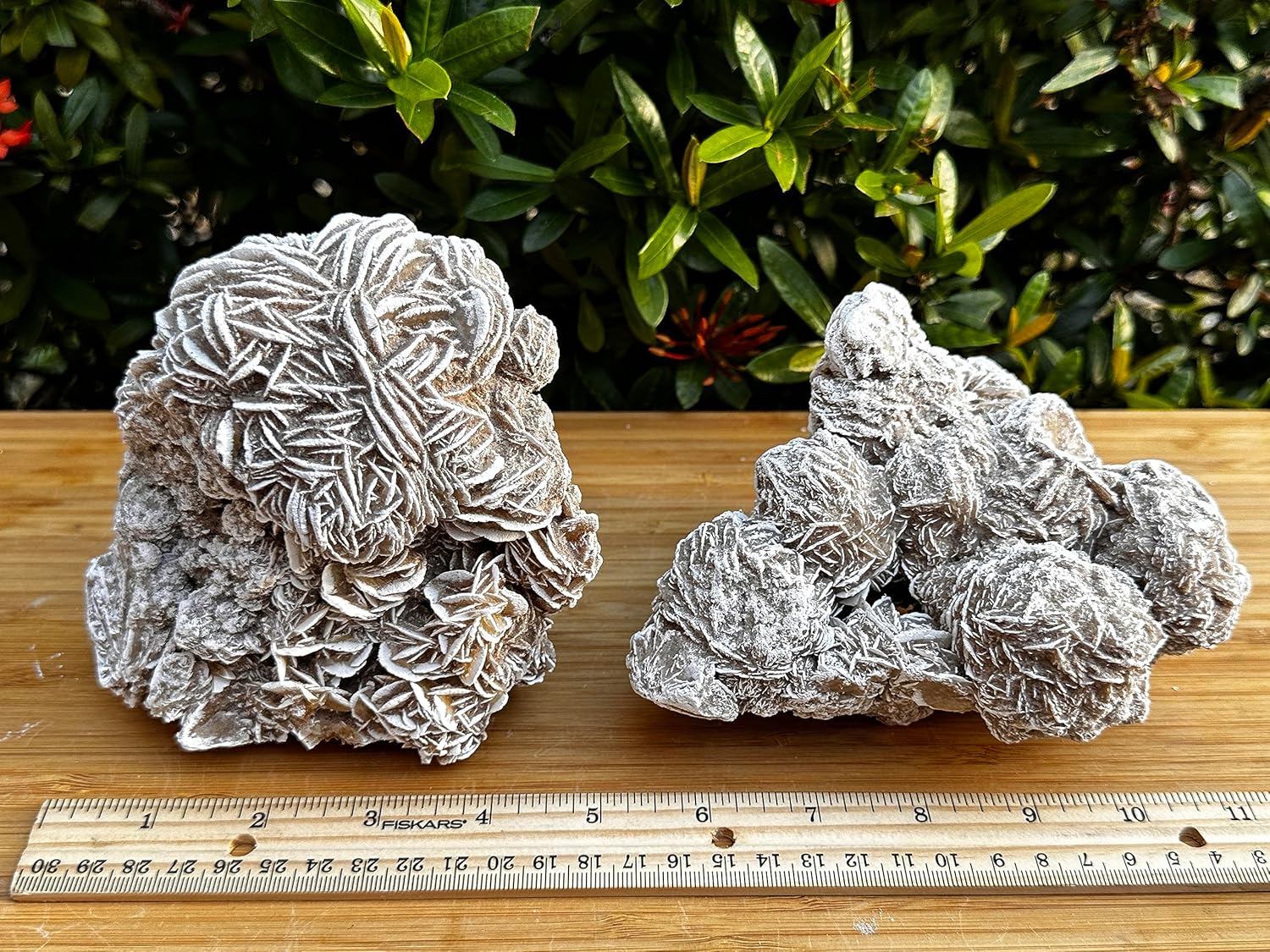 Gran racimo de rosas del desierto, piedras naturales de selenita de rosa del desierto, rosa de yeso del desierto, cristal de rosa de selenita crudo,