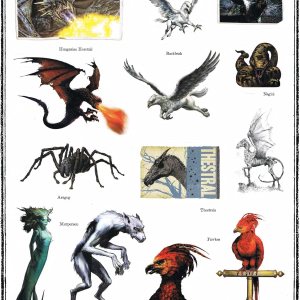 Harry Potter 2 hojas completas de calcomanías bestias fantásticas, criaturas mágicas y seres Harry Potter 2 hojas completas de calcomanías bestias fantásticas, criaturas mágicas y seres