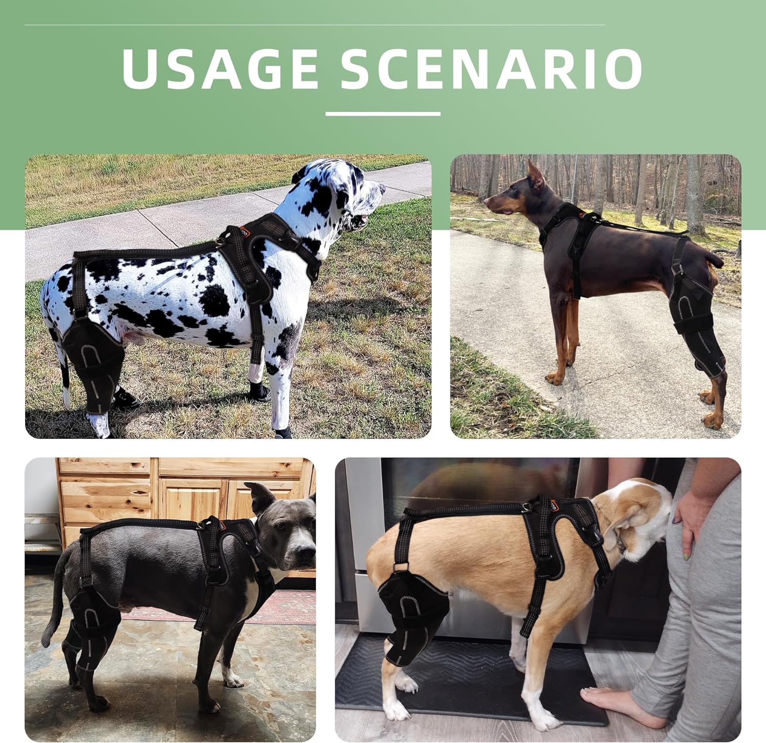 LISPOO – Rodillera para perro para pierna trasera desgarrada, rótula luxante, ligamento cruzado, rodillera para perro Acl soporte de pierna trasera