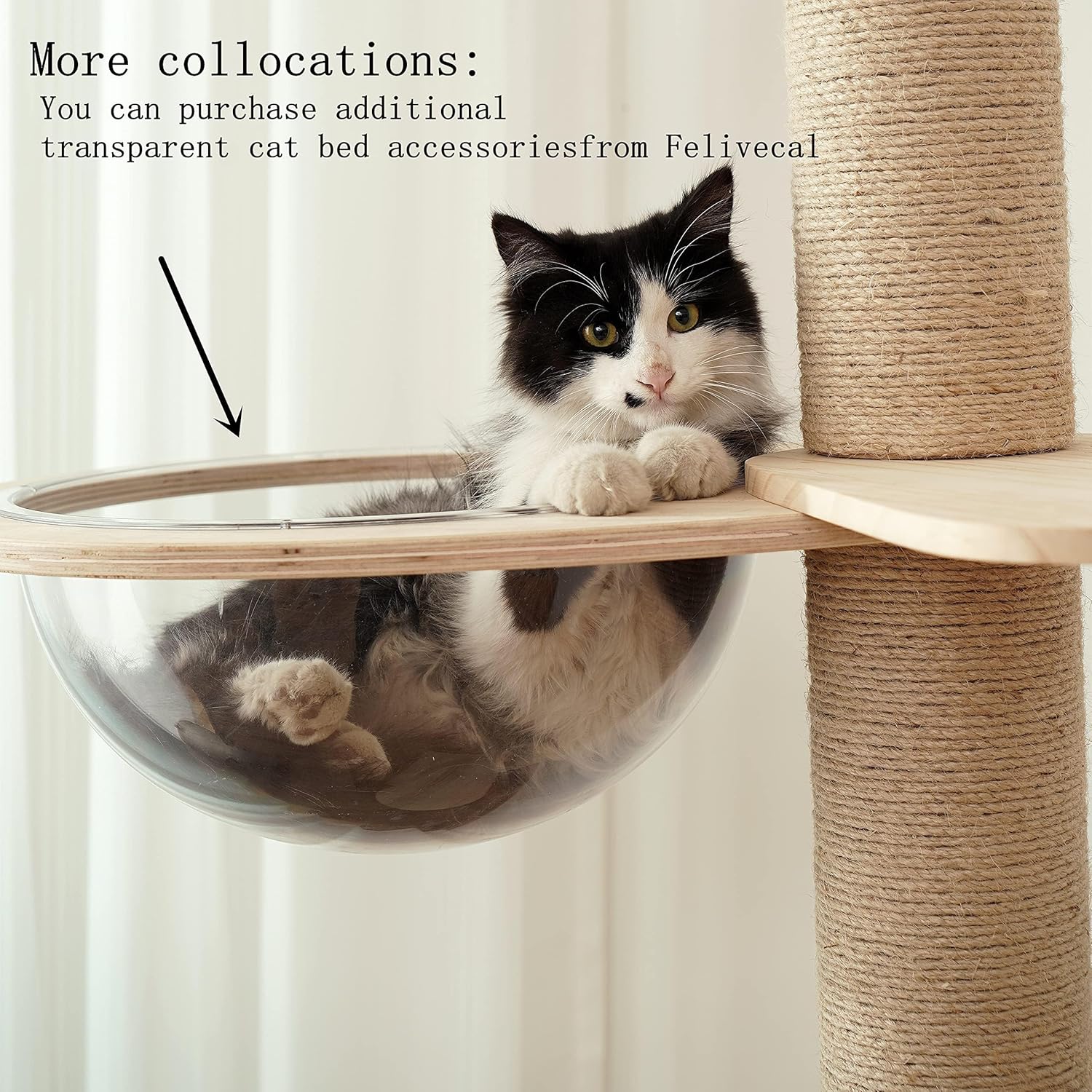 Torre de árbol de madera para gatos de piso a techo para gatitos y gatos grandes con postes rascadores de cuerda de sisal natural, altura de la base