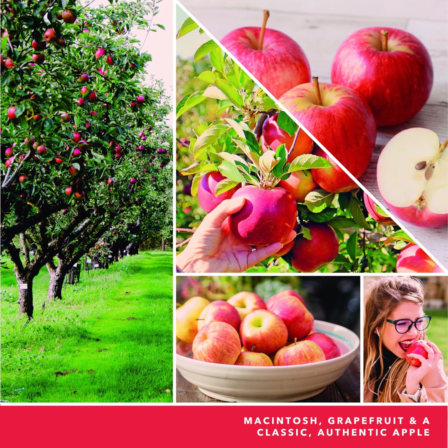 Yankee Candle Signature – Veladora distintiva en vaso pequeño de fragancia Macintosh