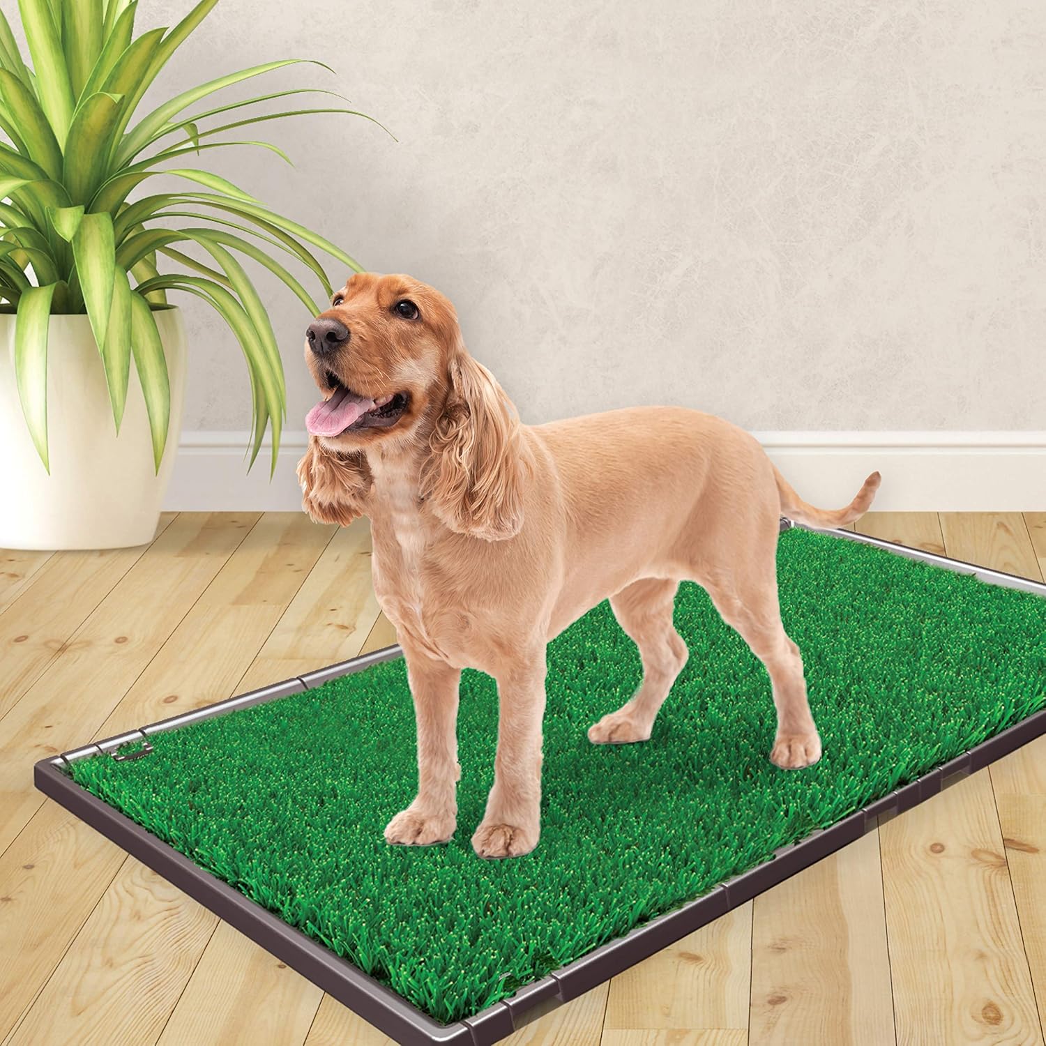 Four Paws Wee-Wee Premium Patch Pet Kit de expansión del sistema de orinal para mascotas, 24.5 x 23 pulgadas