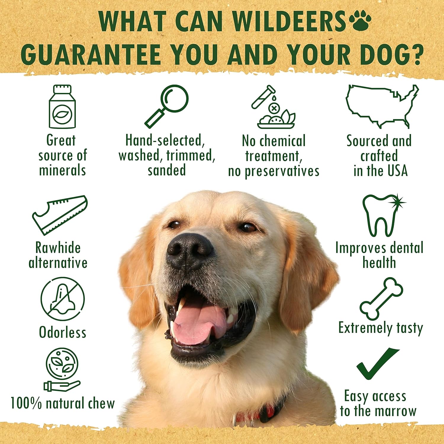 Cuernos divididos para perros medianos, paquete de 2, fabricados en Estados Unidos, cuernos de alce de grado A, huesos masticables para razas