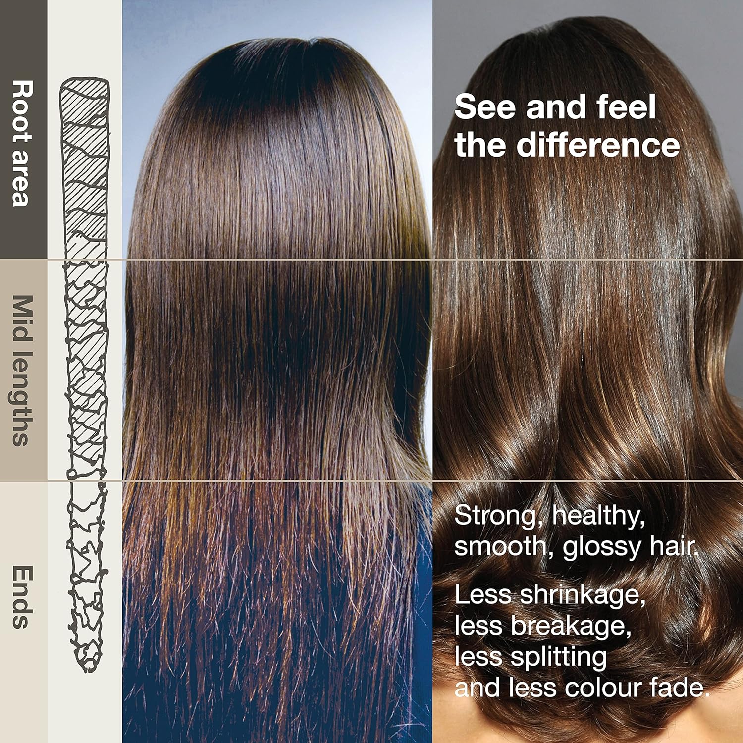 Michael Van Clarke – Champú morado corrector de color para cabello rubio, anti cobrizo, tonos amarillos, pigmento violeta tonificante, sin sulfatos,