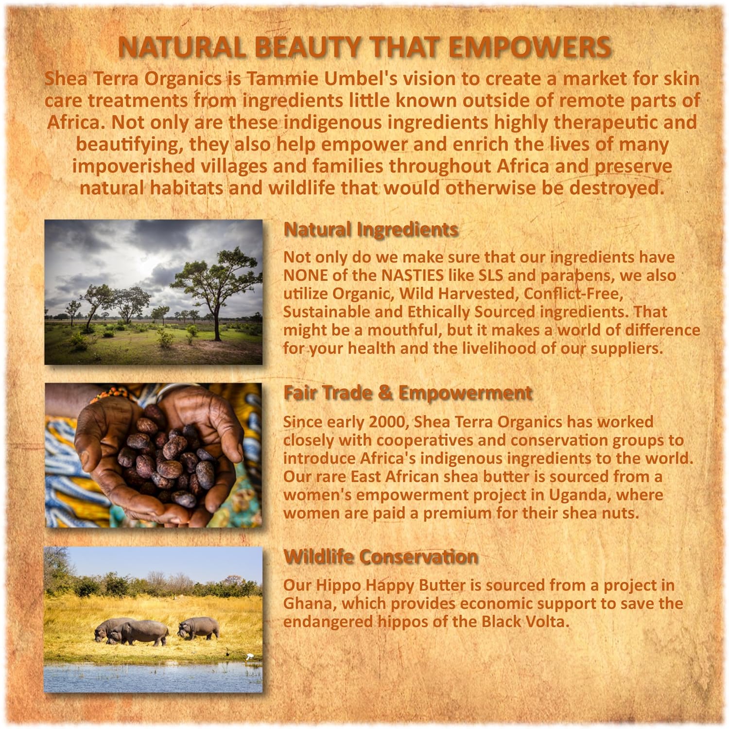 Shea Terra Kigelia Age Defense Collection – Crema facial para después del sol  Crema facial natural antienvejecimiento con raíz de regaliz, manteca