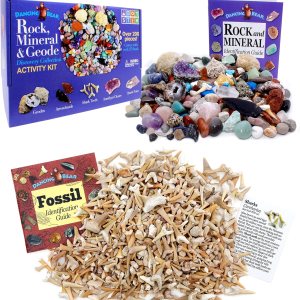 DANCING BEAR Paquete de fósiles de geología – 2 kits STEM kit de actividad de rocas, minerales y geodas y fósiles de dientes de tiburón de 1 libra DANCING BEAR Paquete de fósiles de geología – 2 kits STEM kit de actividad de rocas, minerales y geodas y fósiles de dientes de tiburón de 1 libra