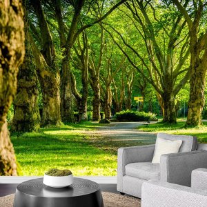 SIGNFORD Adhesivo mural de pared removible para primavera, verano, bosque, parque, naturaleza, desierto, fotografía, realismo, rústico, granjacampo, SIGNFORD Adhesivo mural de pared removible para primavera, verano, bosque, parque, naturaleza, desierto, fotografía, realismo, rústico, granjacampo,