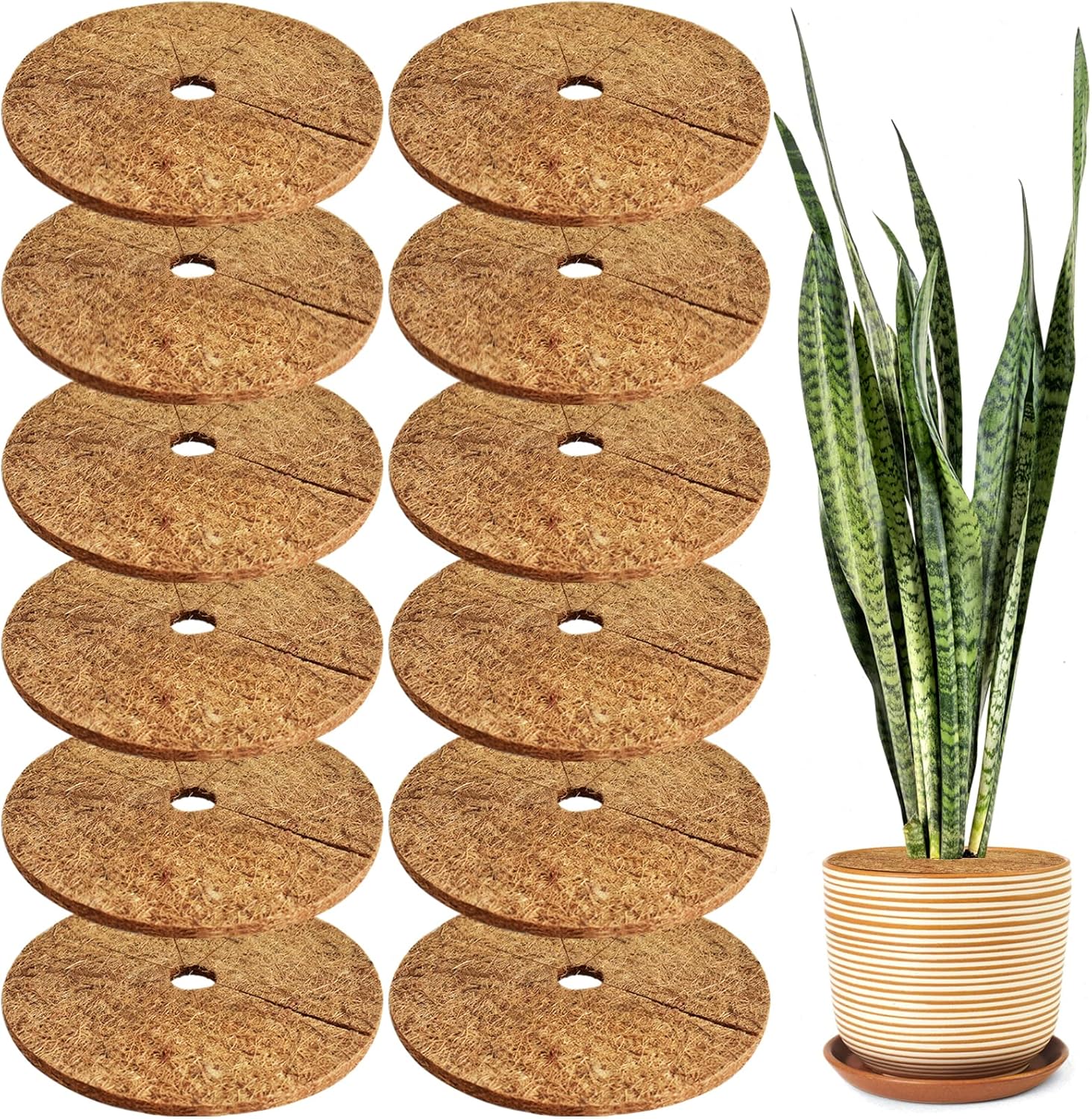 ZeeDix 12 alfombrillas protectoras de fibra de coco, 11.8 pulgadas, cubierta de plantas, tapete de mantillo para malezas, anillo de mantillo de