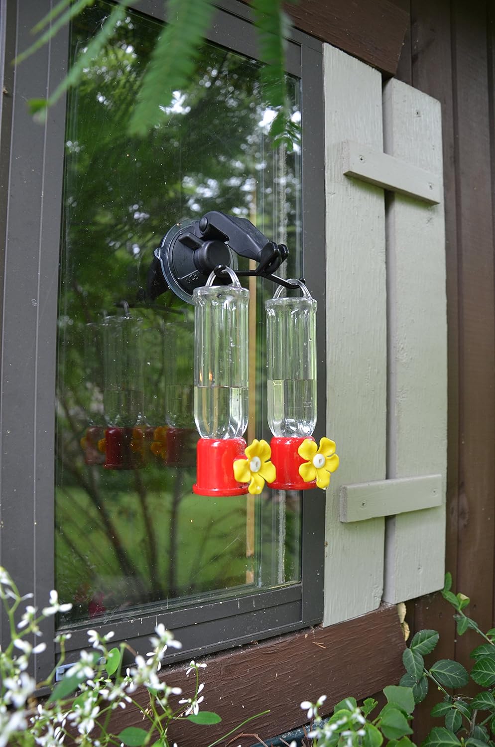 Red Carpet Studios 41254 – Gancho de doble ventana para comedero de colibríes