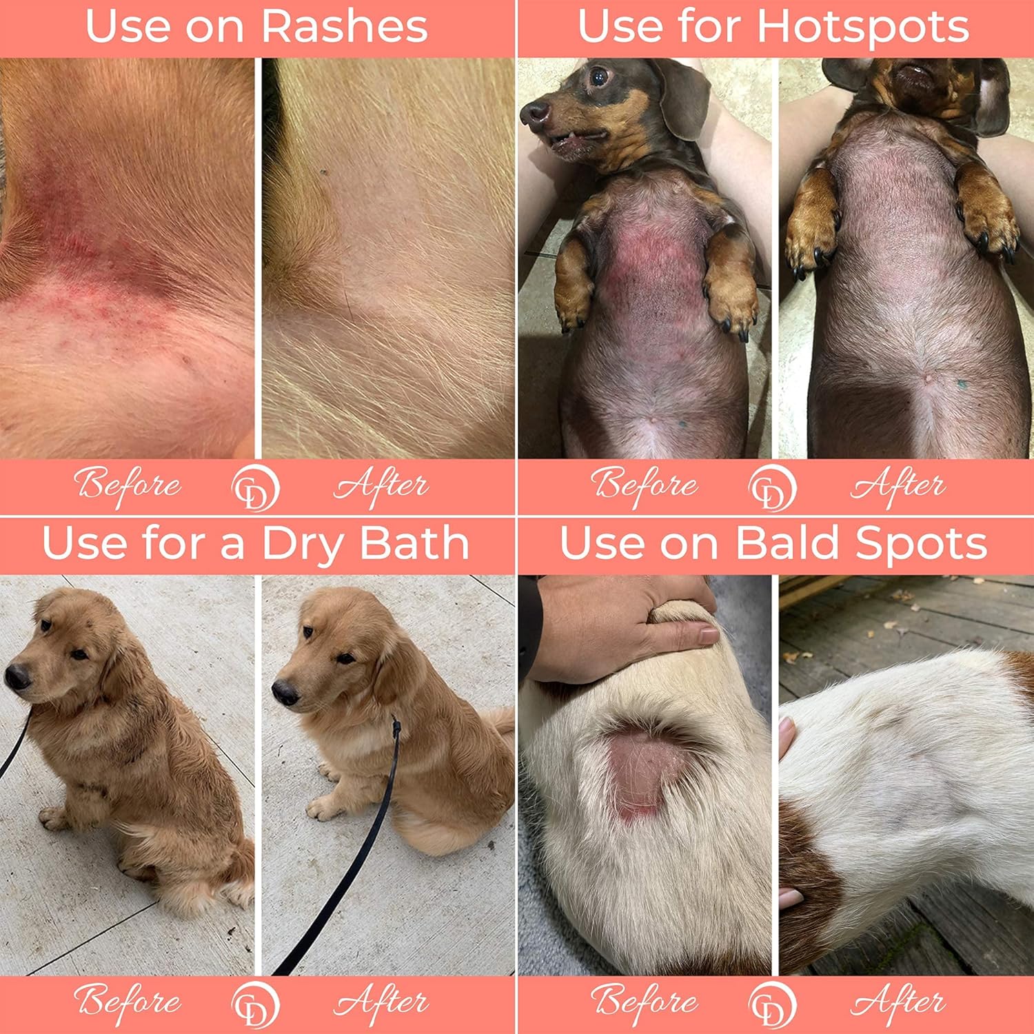 Canine Daily – Paquete de recambio de polvo preventivo  Hecho en Estados Unidos  38 onzas de champú sin agua para perros y gatos y desodorante para